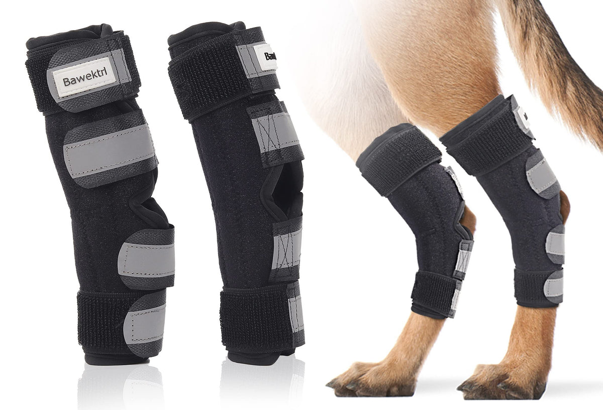 Dog Leg Braces For Back Legs, Canine Hock Brace For Rear Legs With Dual Metal Strips And Safety Reflective Straps, Joint Warps Support Help With Hind Legs Injuries Sprains Arthritis Torn Acl(Xl)