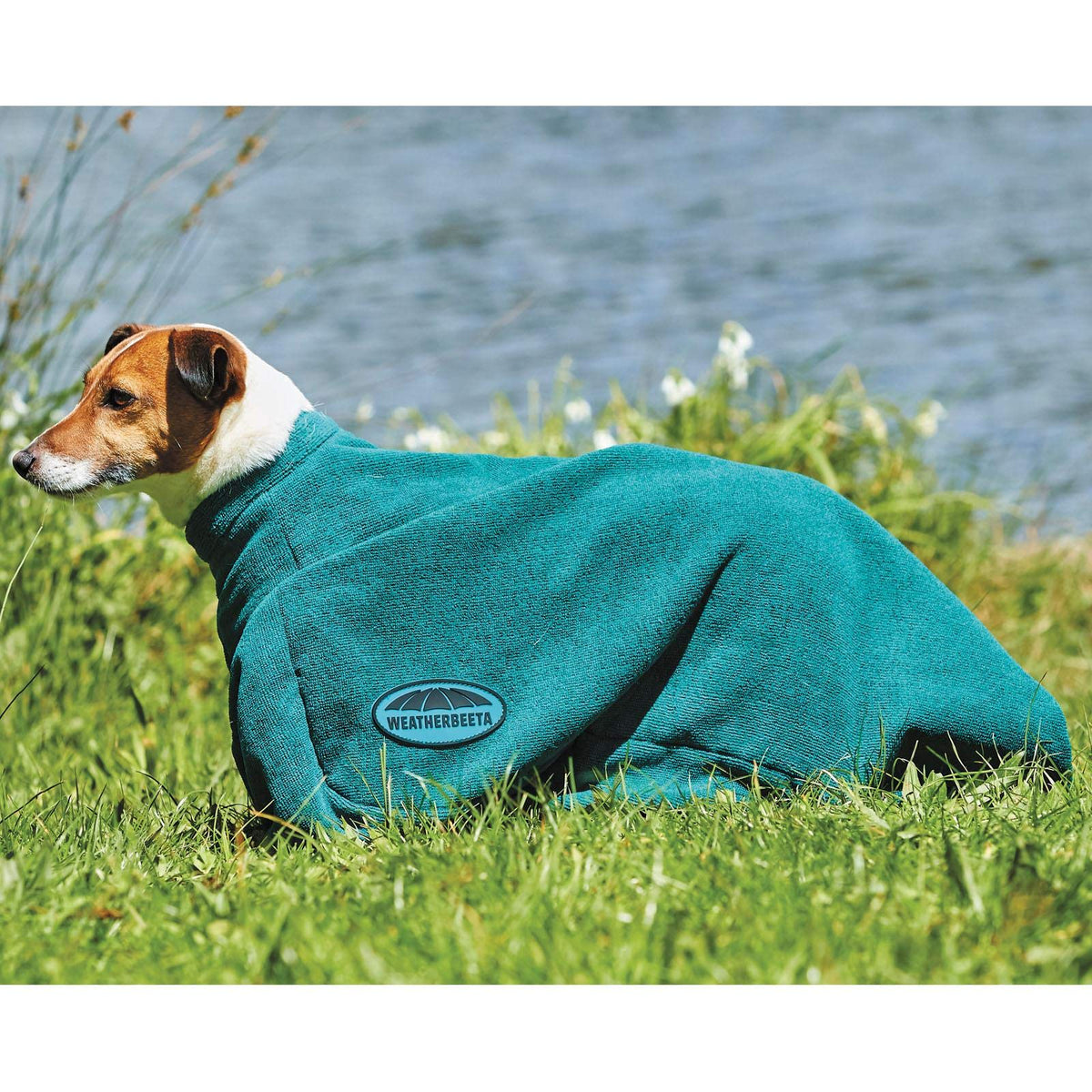 Weatherbeeta Comfitec Dry-Dog Bag, Navy, Extra Extra Large