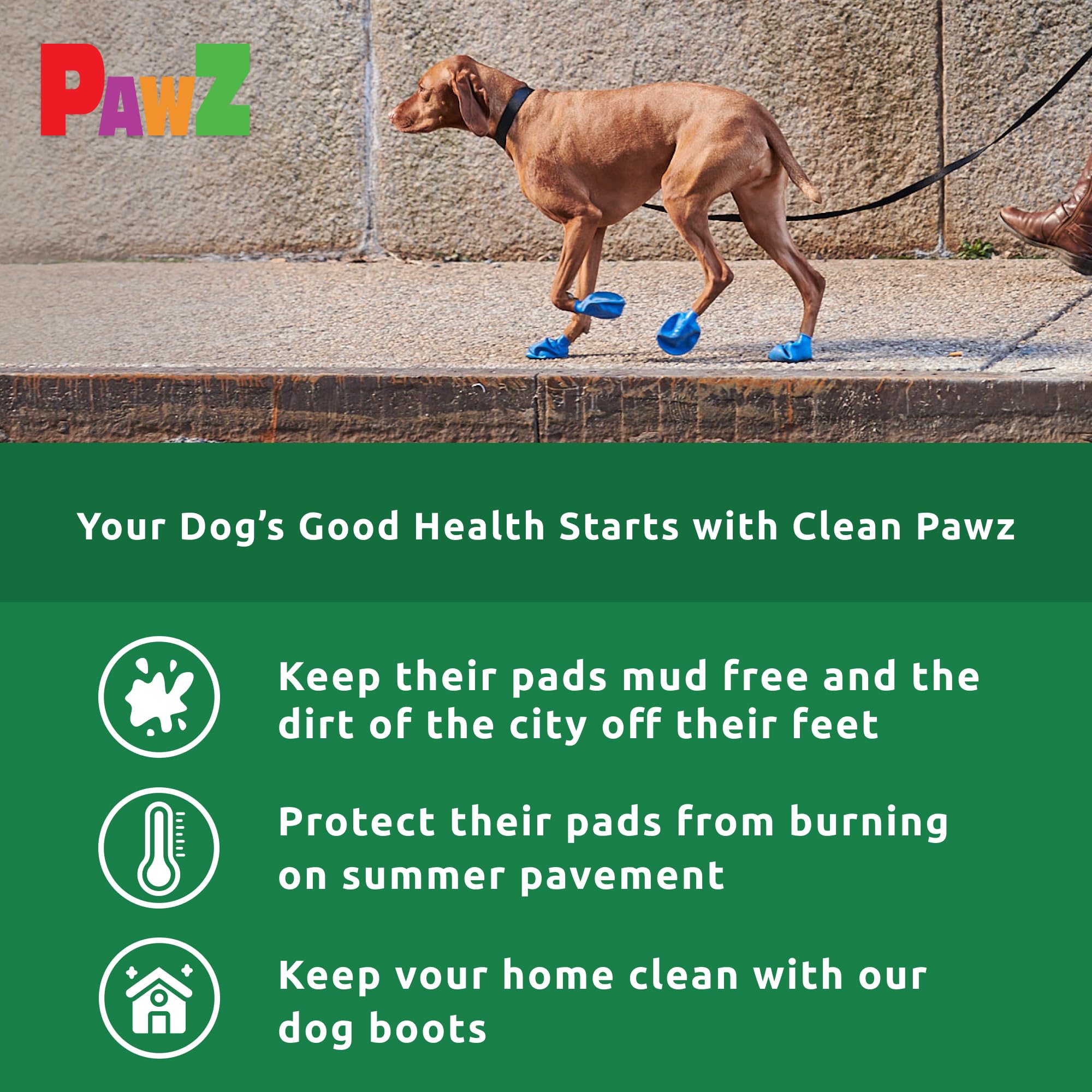 Pawz Natural Rubber Dog Boots - Tiny