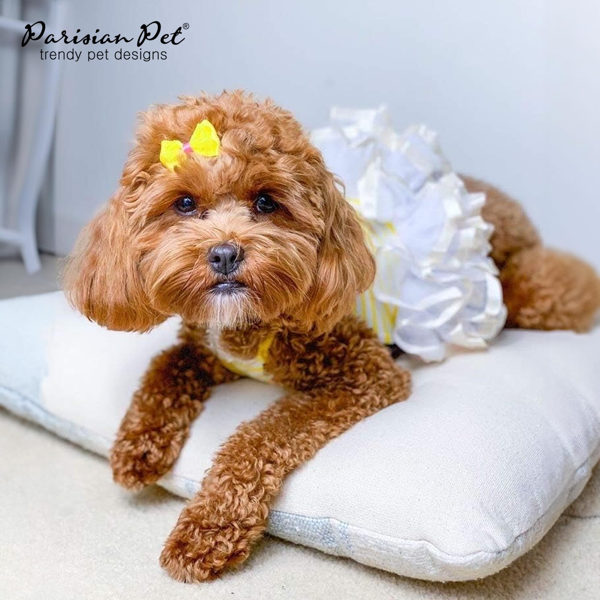 Parisian Pet Ballerina Dog Dress Yellow