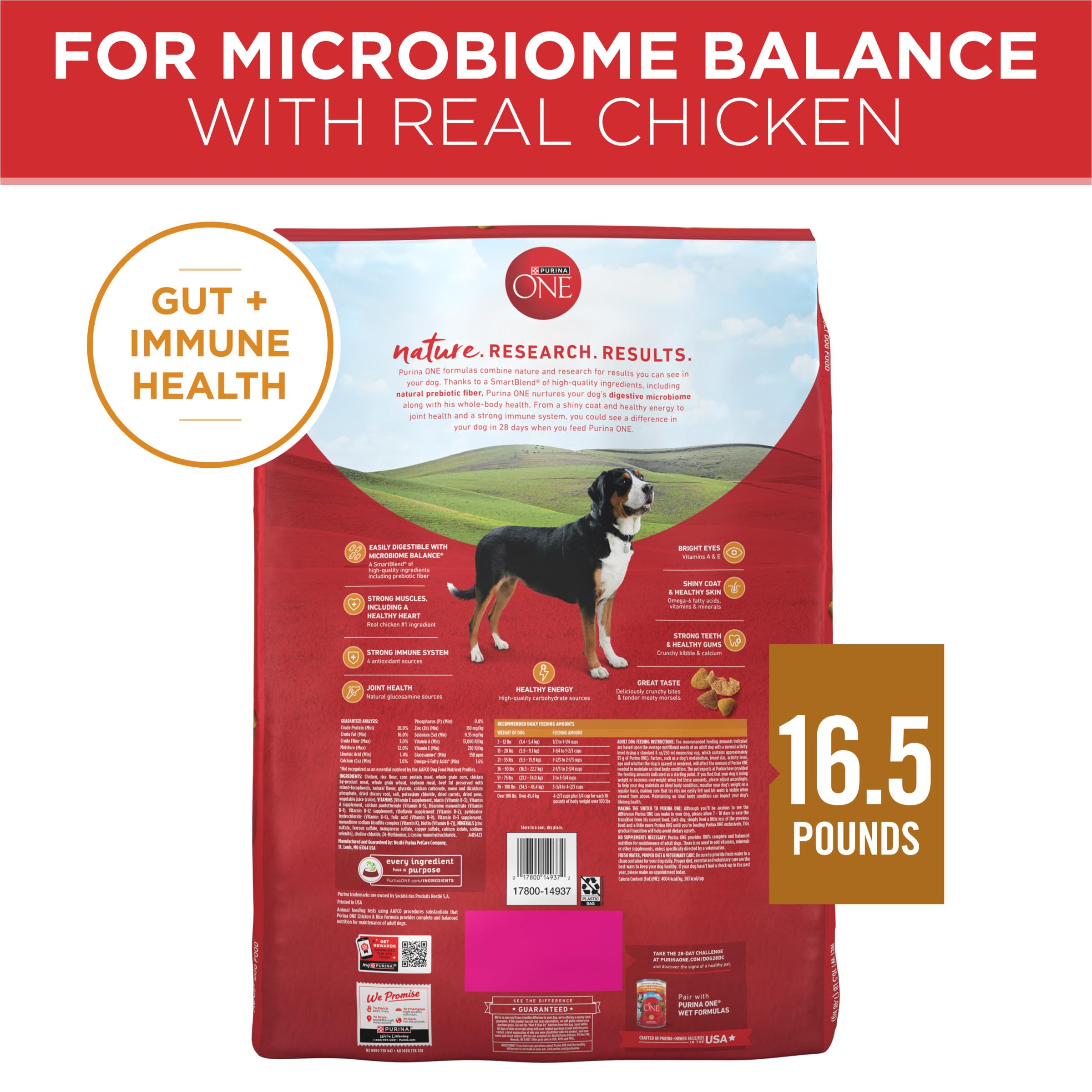 Purina ONE Chicken and Rice Formula Dry Dog Food - 16.5 lb. Bag