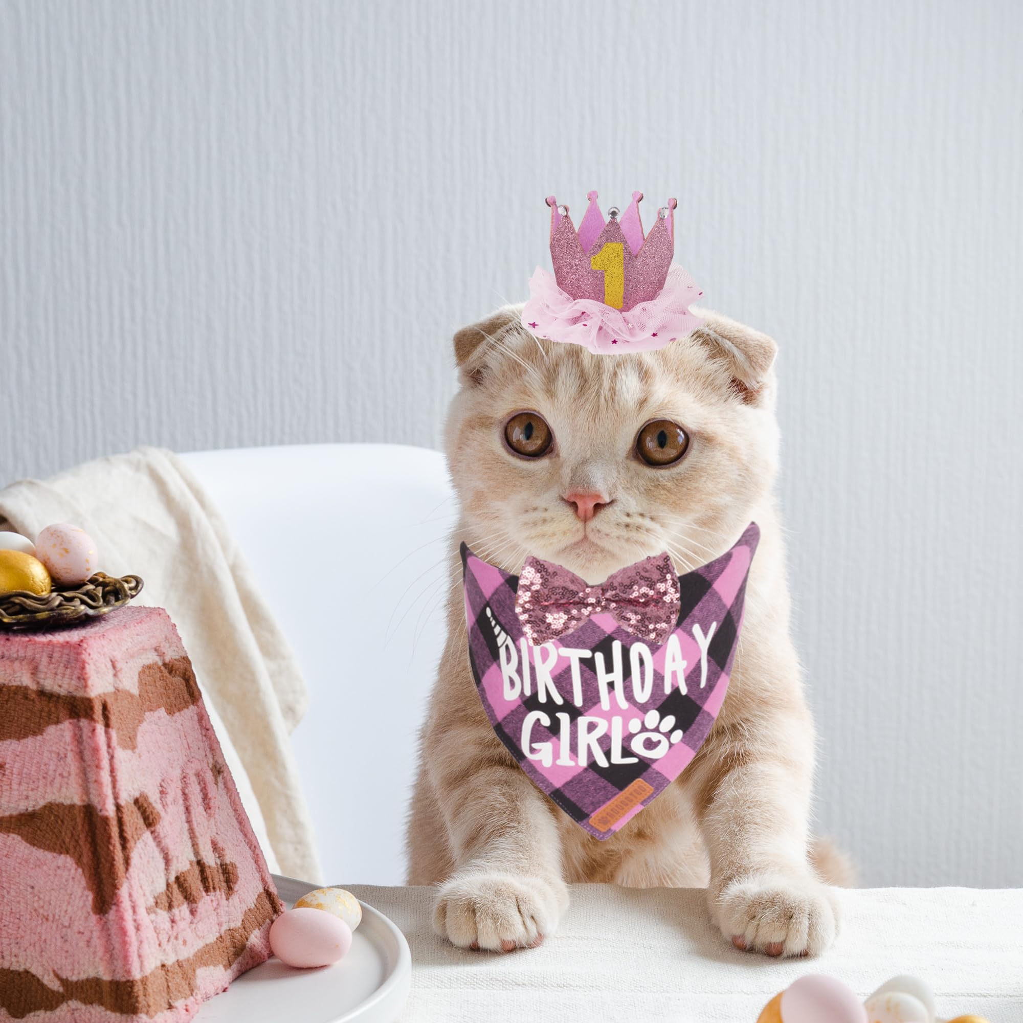 Adoggygo Cat Birthday Party Supplies, Birthday Girl Plaid Kitten Bandana, Pink Cat Party Hat With Numbers, Bowtie (Pink)