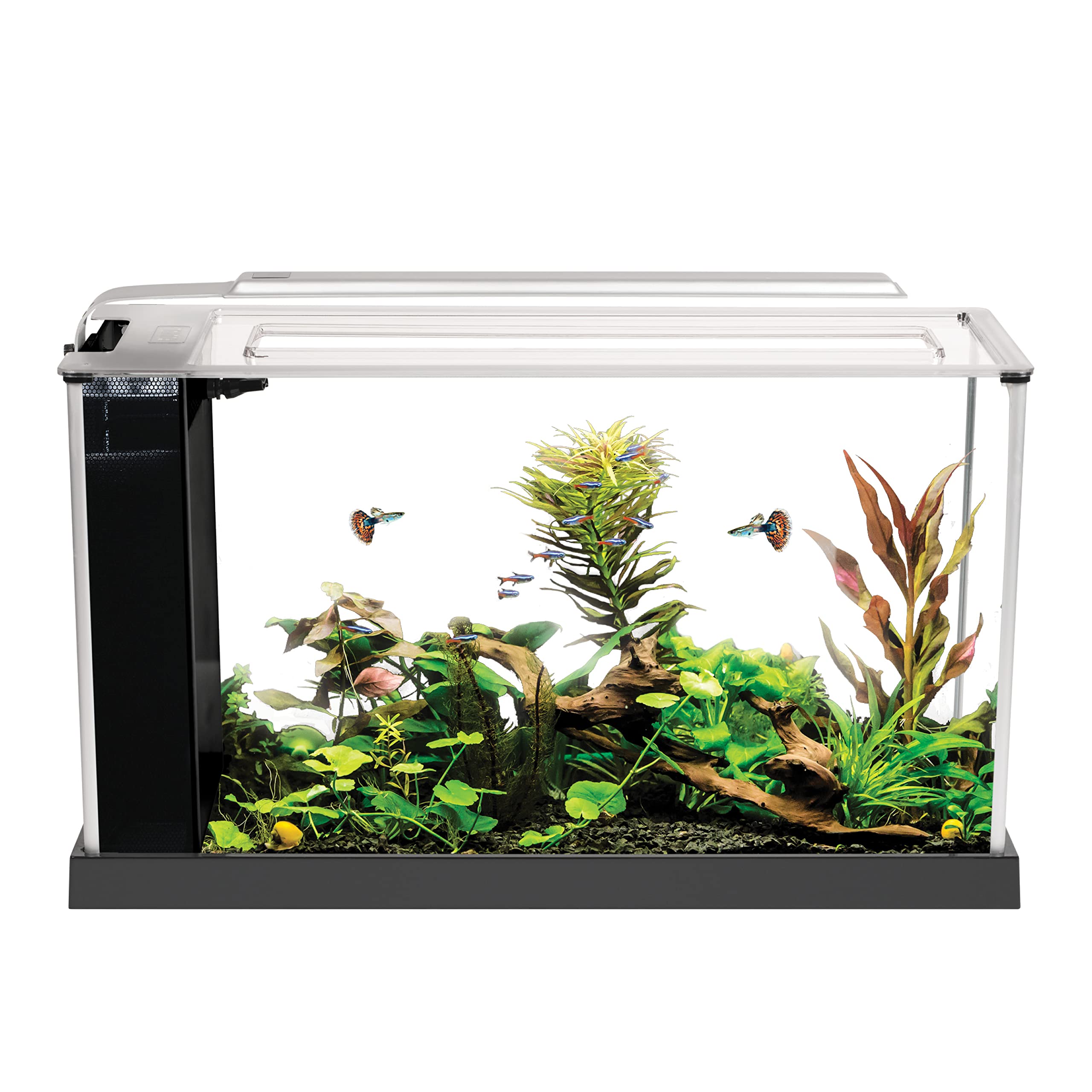 Fluval Spec Aquarium Kit, Aquarium With Led Lighting And 3-Stage Filtration, 5 Gallon, White