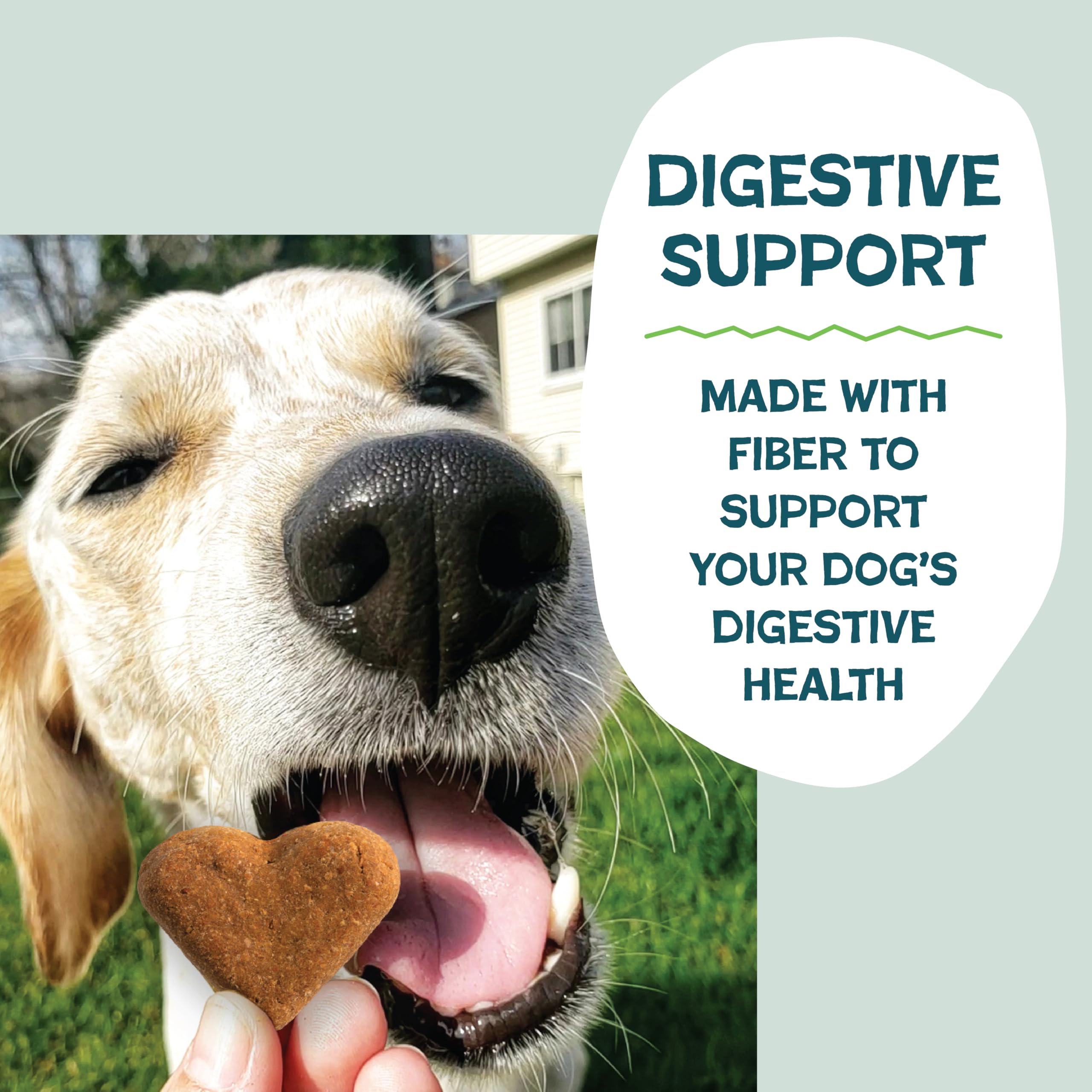 Shameless Pets Crunchy Dog Treats - Variety Pack 3 Boxes - Healthy Dog Biscuits & Cookies Treats for Small, Medium, and Large Do