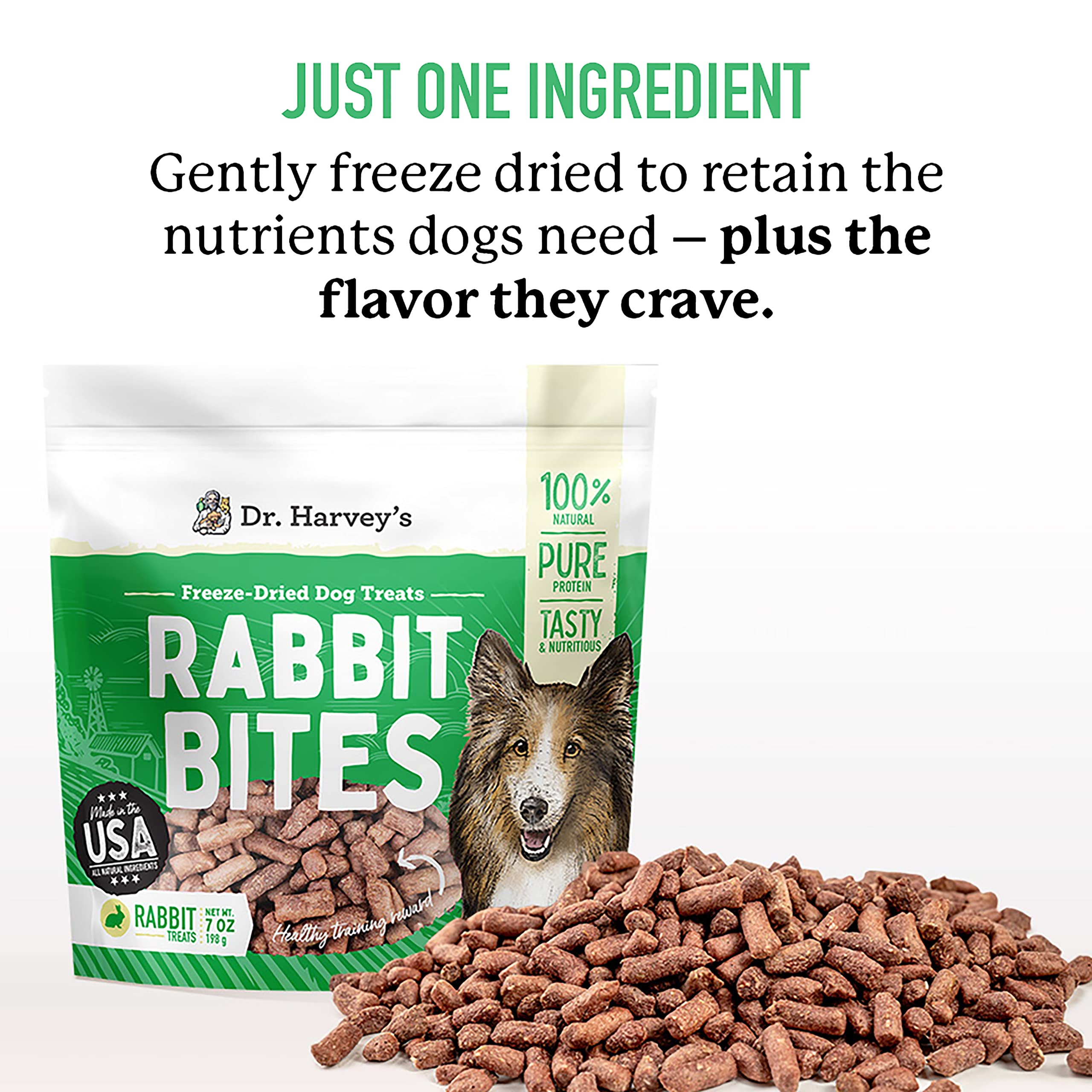 Dr. Harveys Rabbit Bites Freeze-Dried Raw Dog Treats - Single Ingredient, All-Natural Rabbit Meat Protein for Dogs, Allergen-Fr