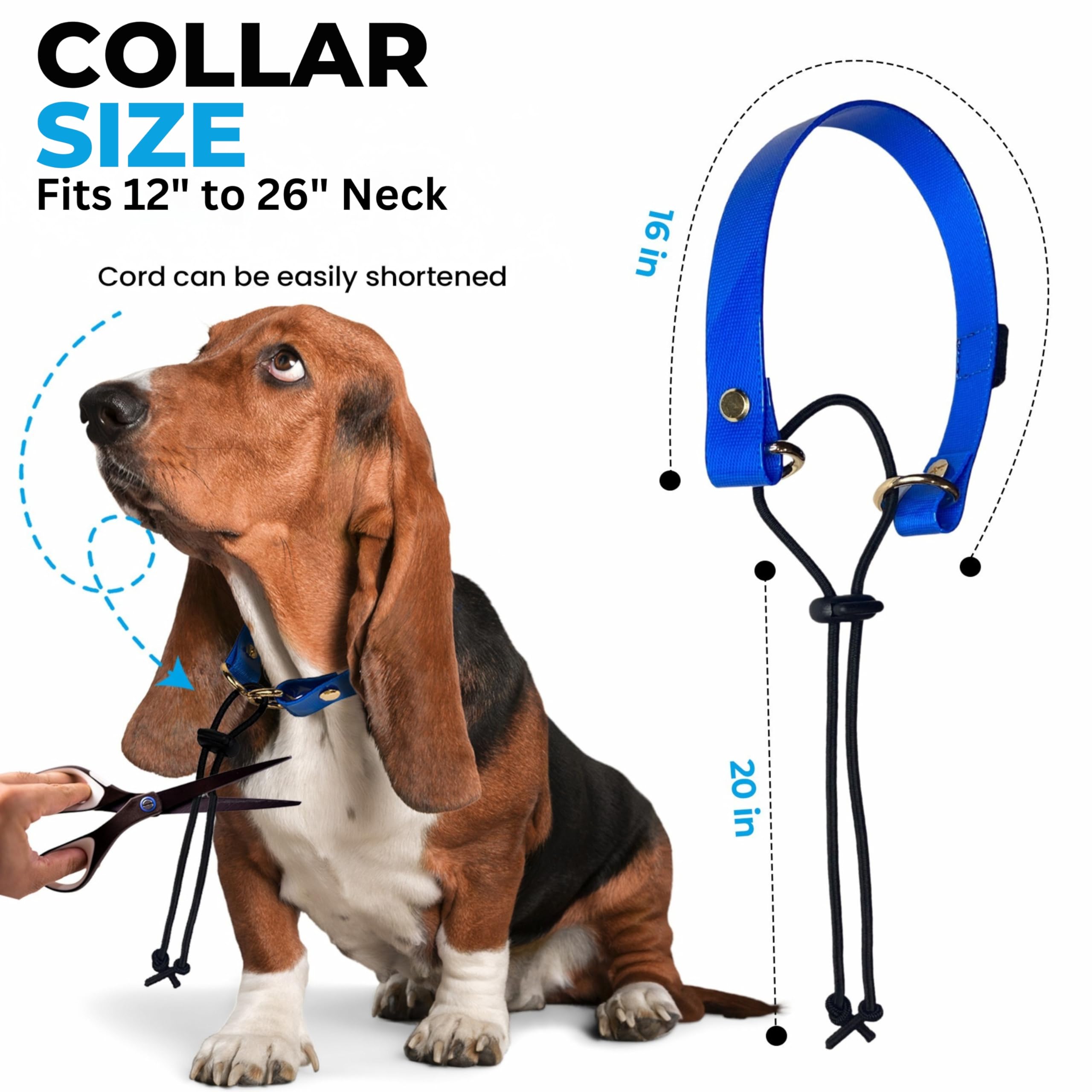 Ecollar 3/4 Inch Replacement Strap Bungee Style - Dog Shock Collar Replacement Strap - 3/4 Dog Collar For Shock Collar - Replace