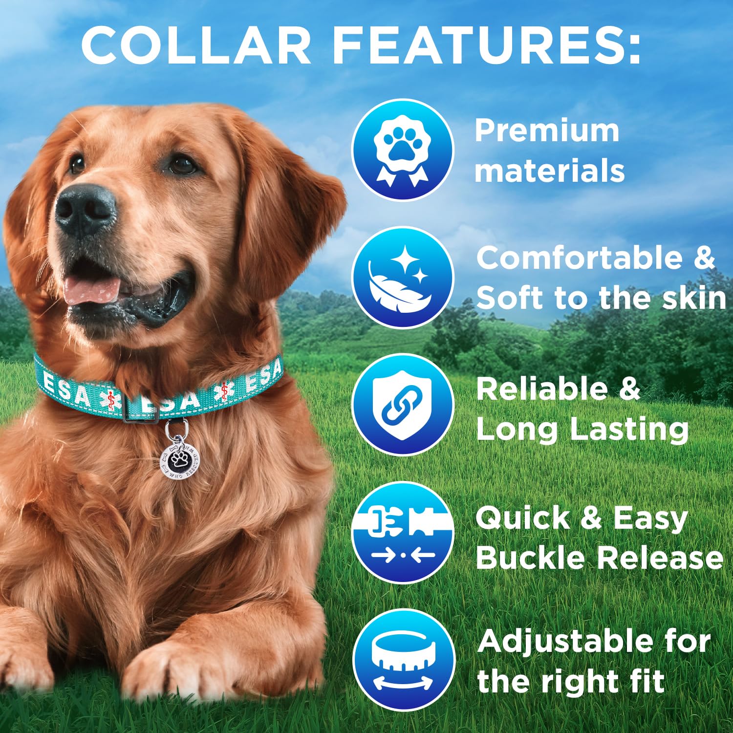 Teceum Reflective Pet Collar - Teal - Esa - M - Extra Soft Padding - Basic Nylon Dog Collar - Quick Release Buckle - Fits Small,