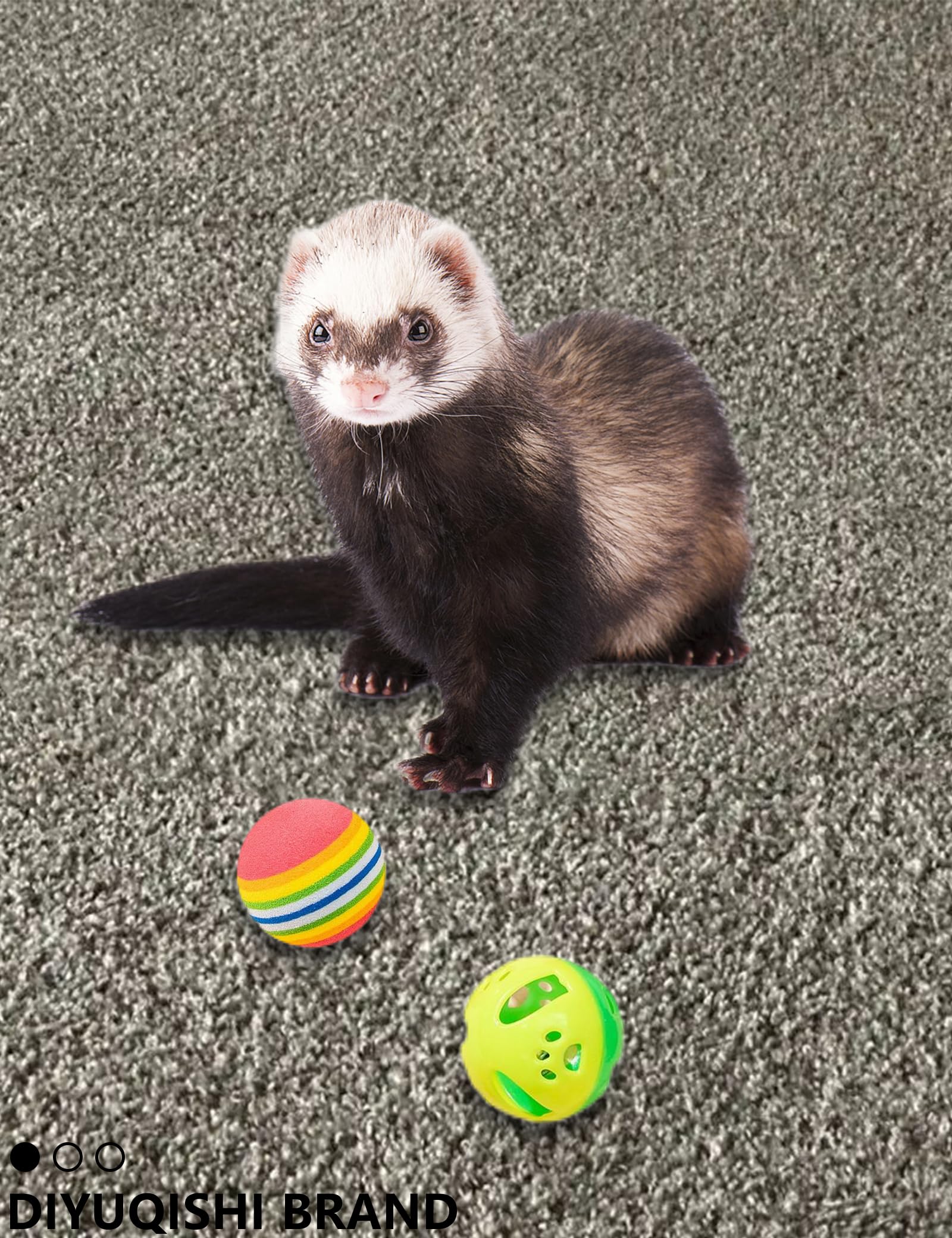 Diyuqishi Ferret Toys 10-Pack Bell Balls, Sturdy & Fun For All Ferret Sizes, Safe Pp Material, Colorful & Interactive, Teeth Hea