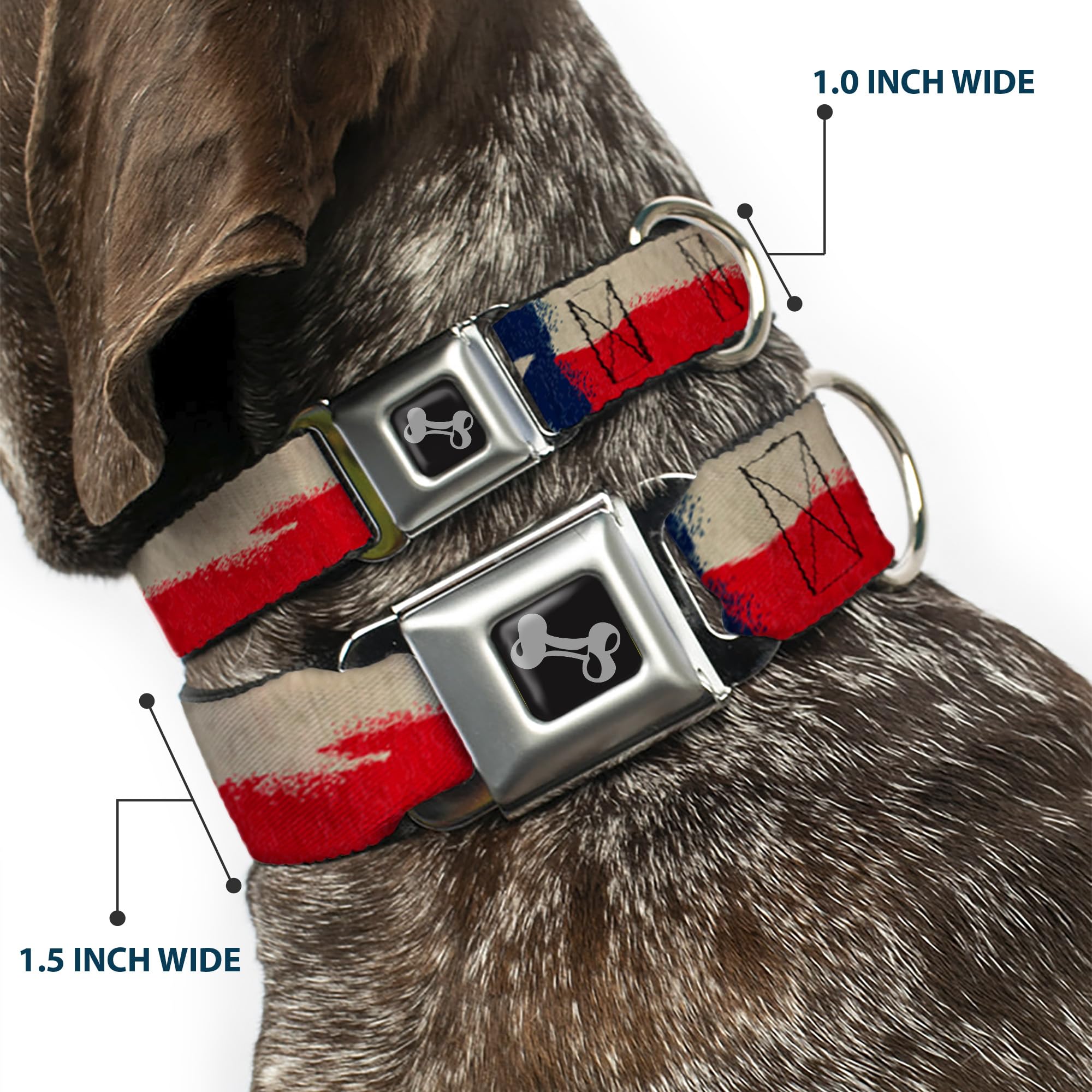 Buckle-Down Dog Collar Seatbelt Buckle Texas Flag Close Up Distressed Painting, Multicolor, 1' Wide - Fits 15-26' Neck - Large