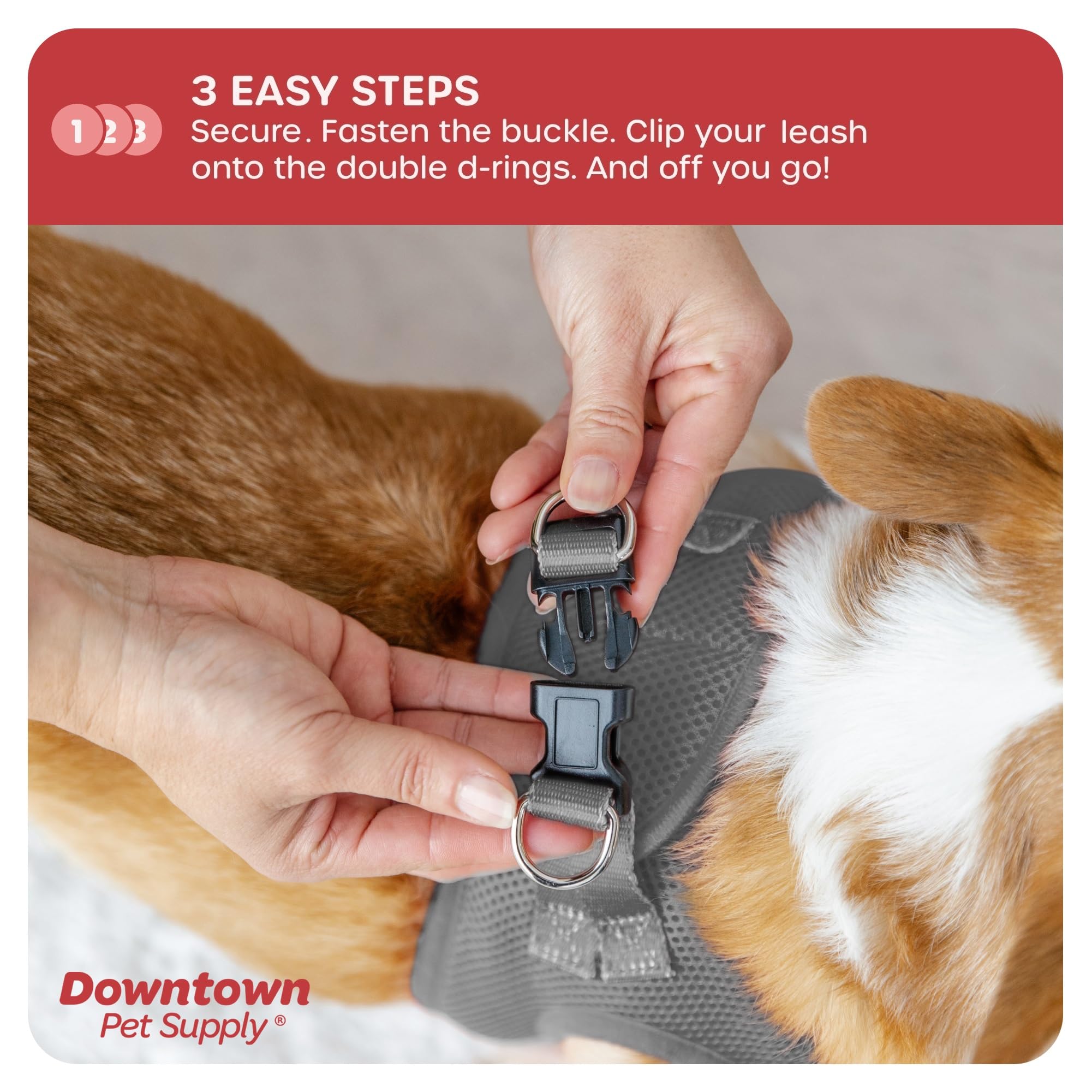 Downtown Pet Supply Step In Dog Harness For Small Dogs No Pull, Medium, Light Gray - Adjustable Harness With Padded Mesh Fabric
