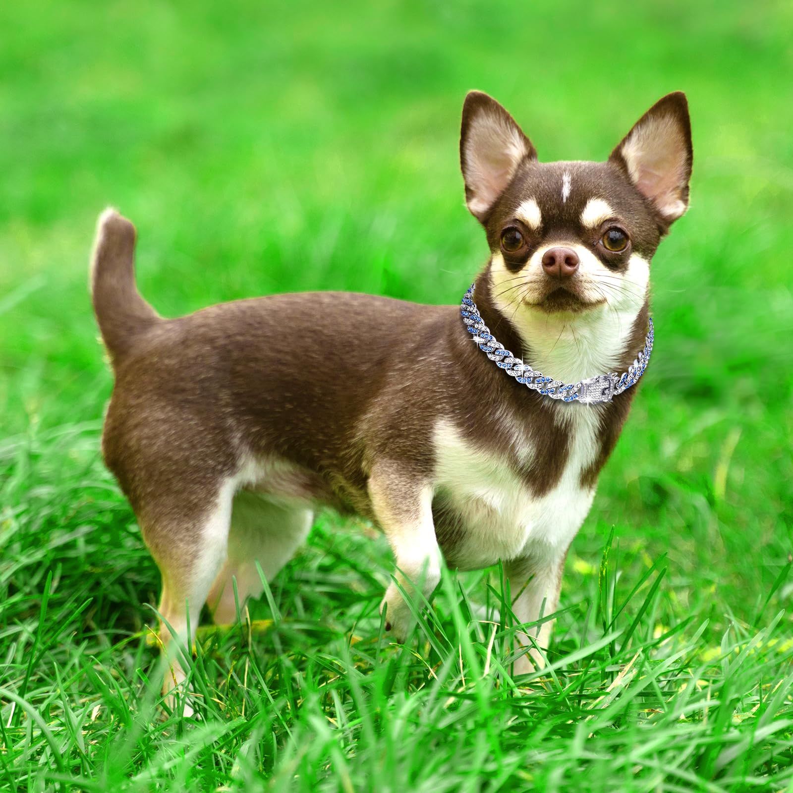 14Inch Glitter Dog Chain Collar Blue Silver Diamond Dog Collars Cuban Dog Chains Necklace Puppy Pet Metal Link Chain With Buckle Christmas Pet Jewelry Accessories Chain For Small Medium Dogs Cats