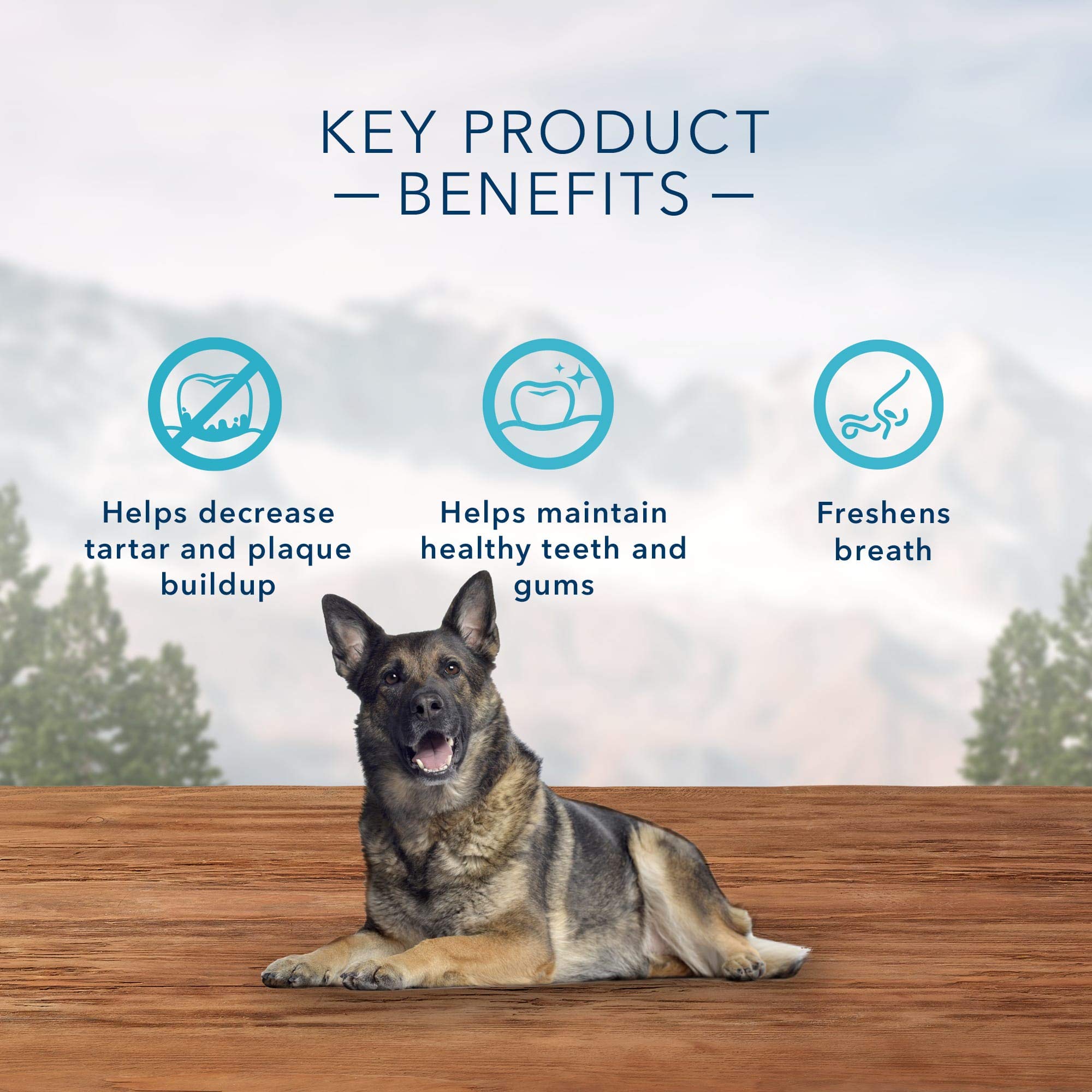 Blue Buffalo Wilderness Wild Bones Grain Free Dental Chews Dog Treats, Mini 27-oz Bag