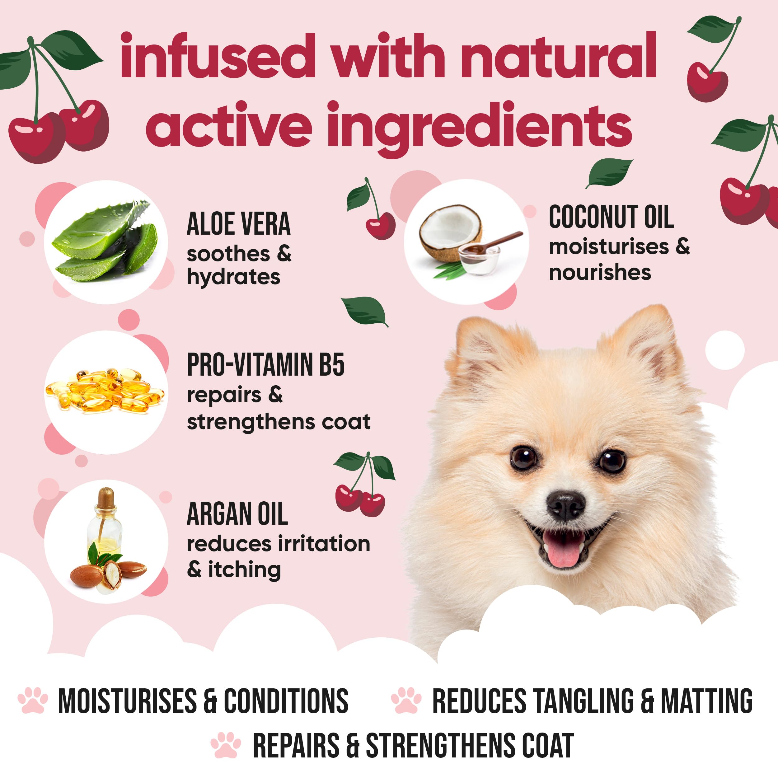 Buddycare Black Cherry Dog Conditioner (169.07oz) Made with Aloe Vera, Argan Oil & Pro Vitamin B5 | Detangle Matted Coats & Reli