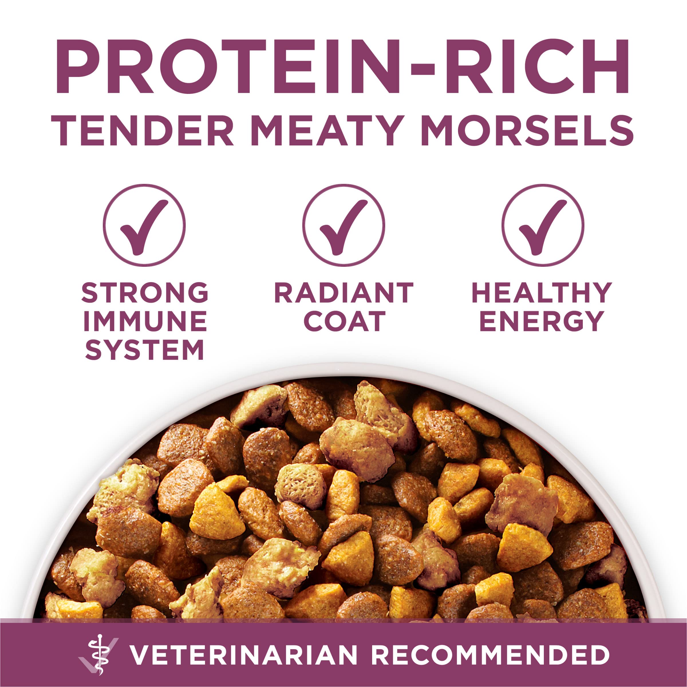 Purina ONE Plus Healthy Puppy Formula High Protein Natural Dry Puppy Food with Added Vitamins, Minerals and Nutrients - 16.5 lb.