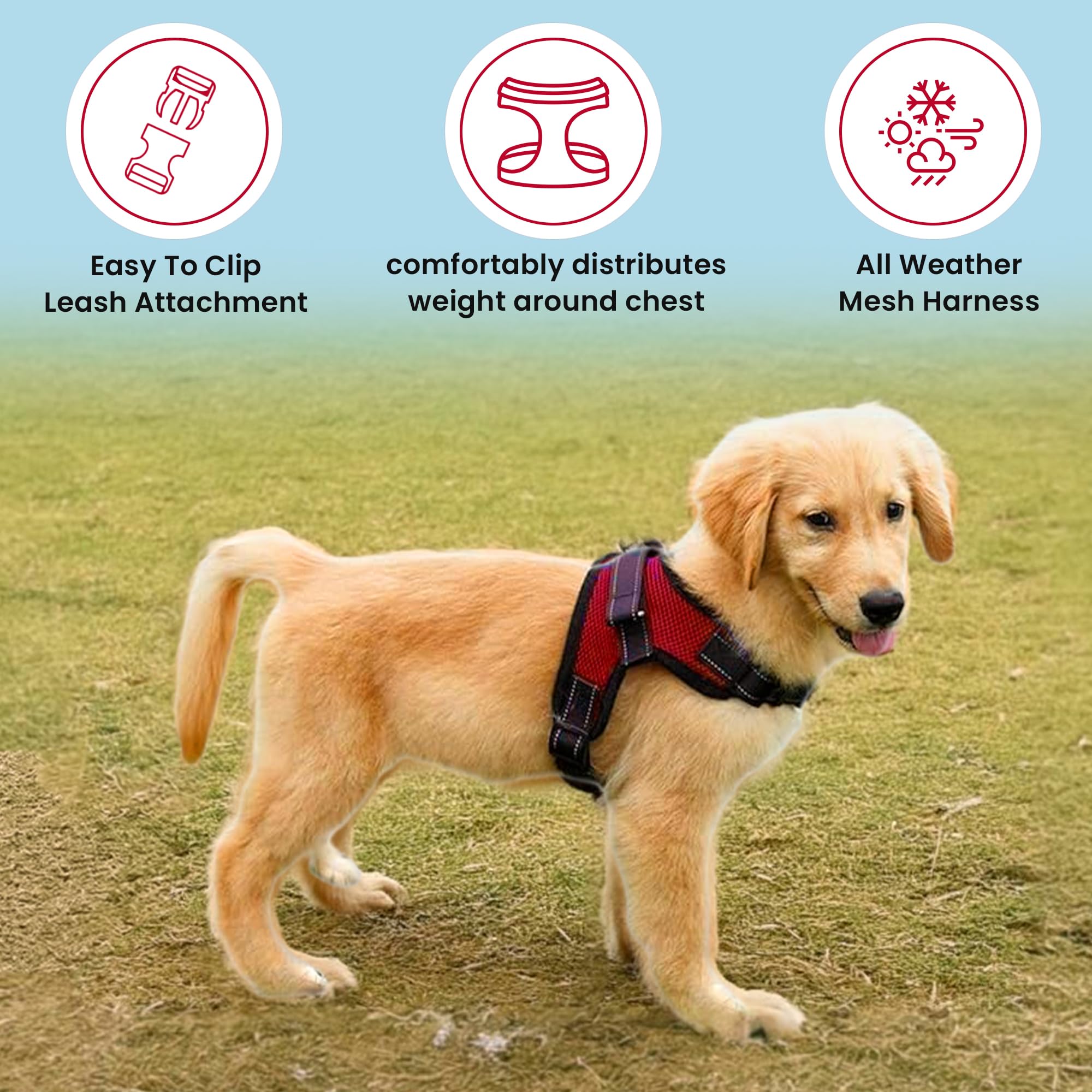 Copatchy Dog Harness Small Sized Dog - All Weather Mesh Overhead Adjustable No Pull Vest Puppy Reflective Harness With Handle For Small And Medium Dogs By Copatchy - Harness (Red) Small