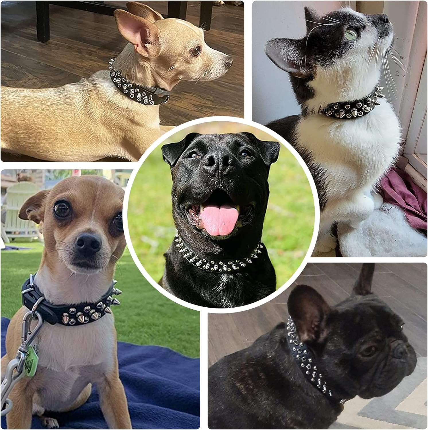 Light Blue Spiked Dog Collar For Medium Dogs,Mushroom Rivet Spike Puppy Collars Girls Boys Leather Studded Cat Collar Metal Buck