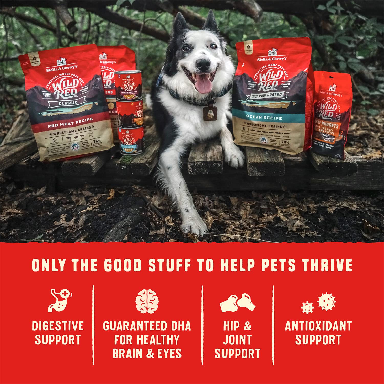 Stella & Chewys Wild Red Dry Dog Food Raw Blend High Protein Wholesome Grains Red Meat Recipe, 21 lb. Bag