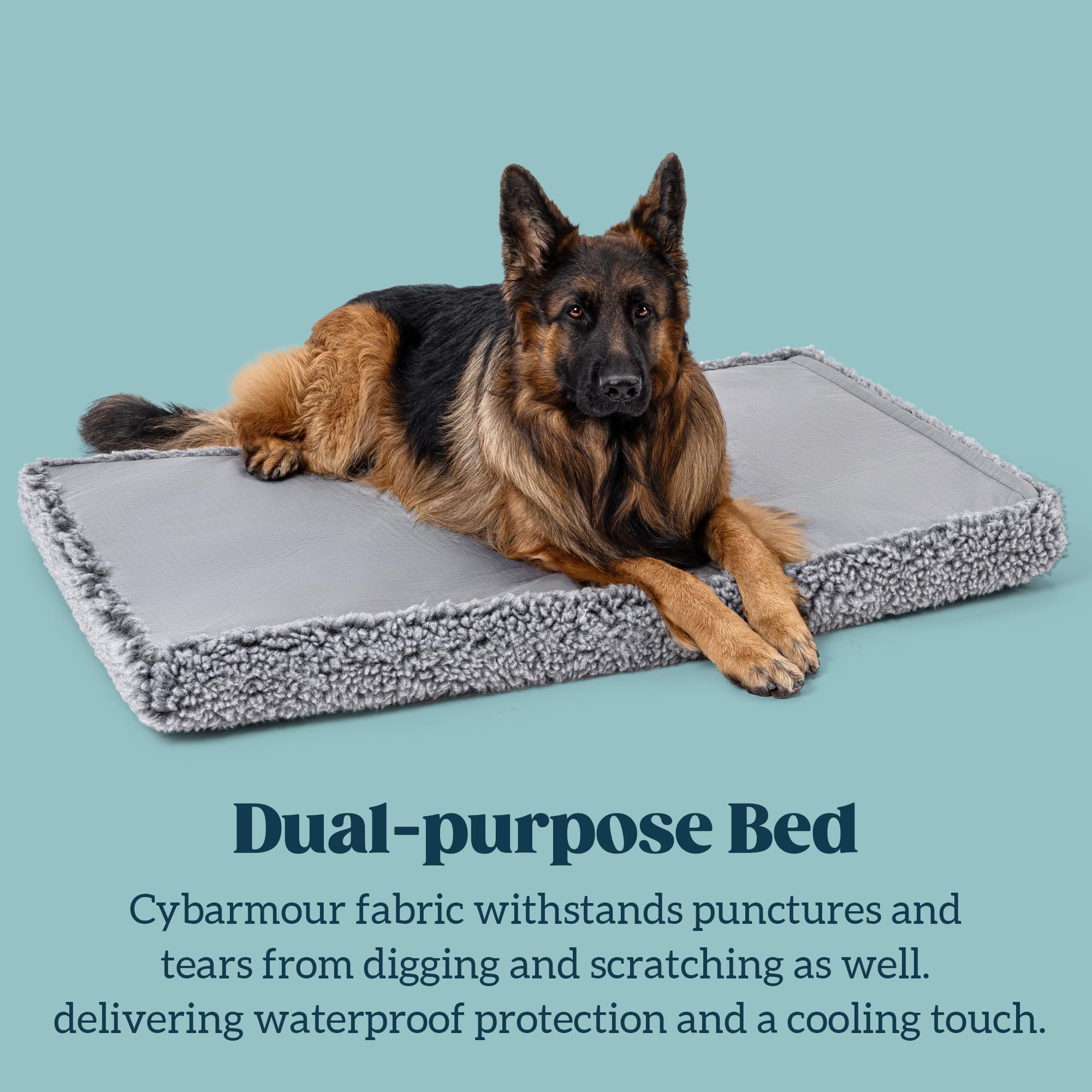 PELZIN Indestructible Dog Bed - Orthopedic Chew Proof Crate Pad, 47"x29", Charcoal, Stoutwool Fabric, Ideal for Extra Large Breeds