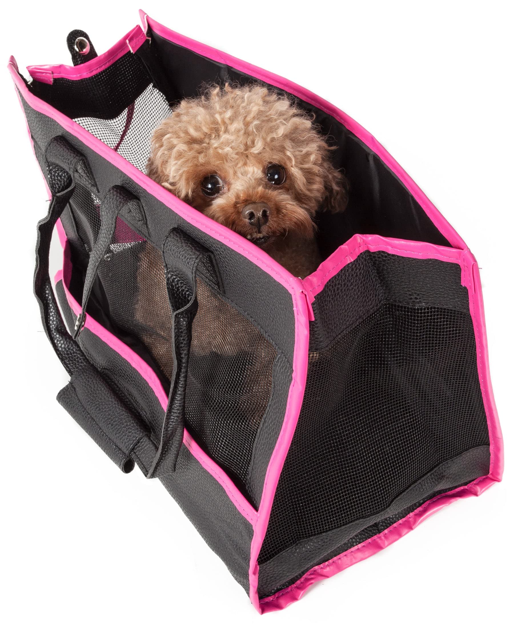 Pet Life Posh Paw Fashion Pet Carrier Purse - Designer Dog Carrier With Built-In Leash Securer