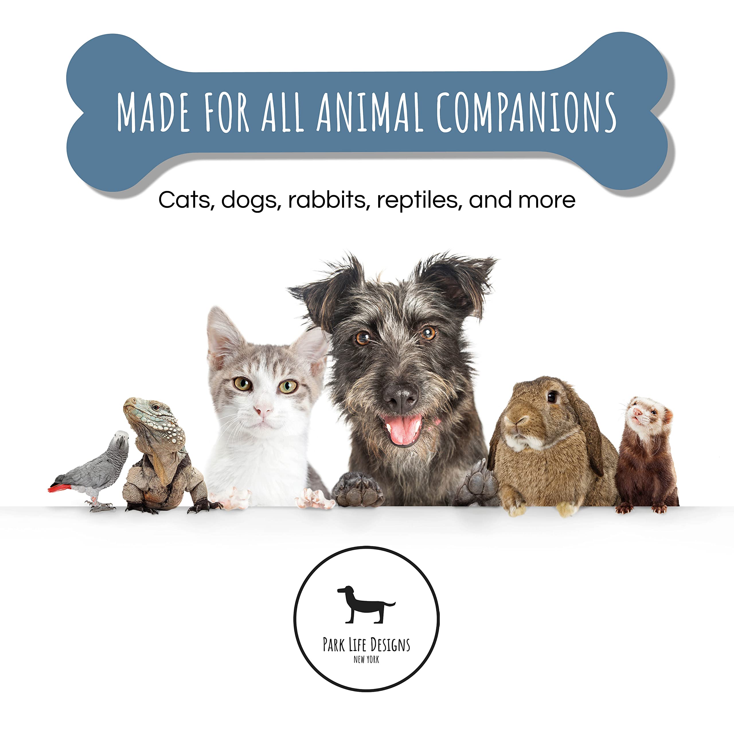 Park Life Designs Pet Bowl | Classic Water (Small, Grey)