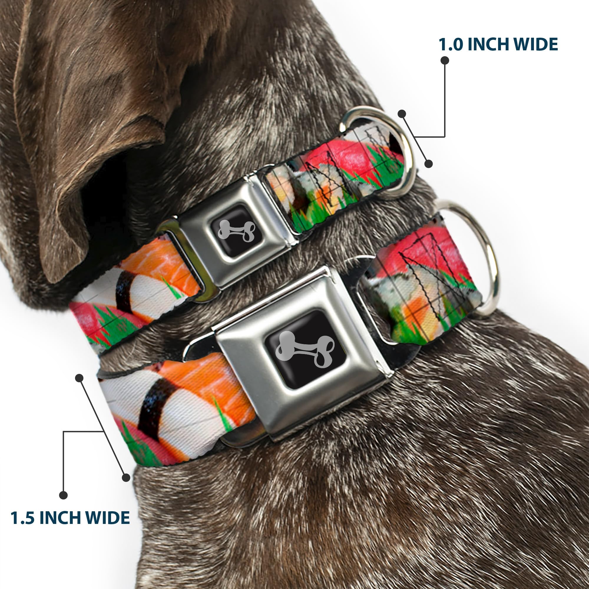 Buckle-Down Dog Collar Seatbelt Buckle Sushi Vivid 9 To 15 Inches 1.0 Inch Wide, Multicolor (Dc-W34595-S)