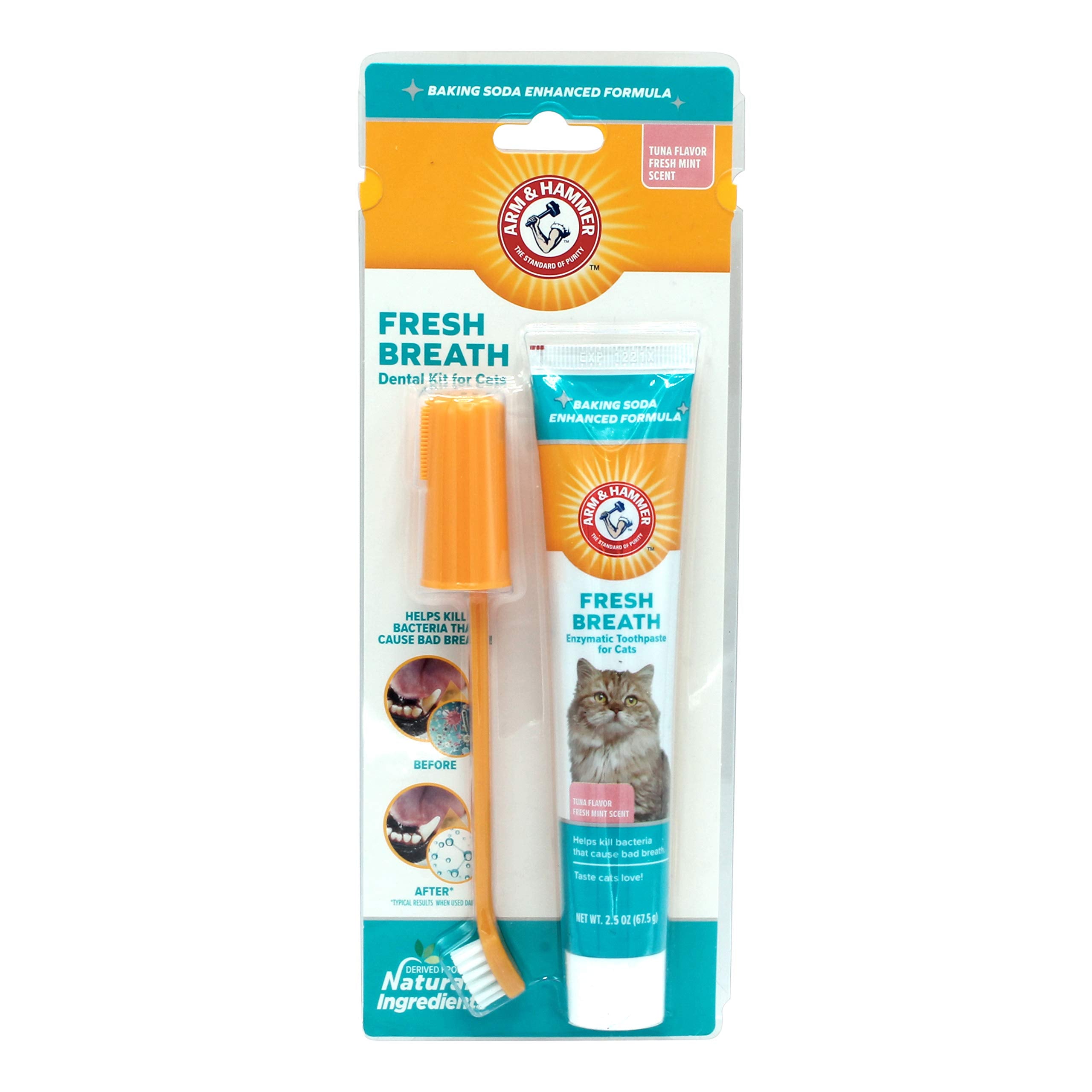 Arm & Hammer for Pets Dental Kit for Cats | Eliminates Bad Breath | 3 Piece Set Includes Cat Toothpaste, Cat Toothbrush & Cat Fi