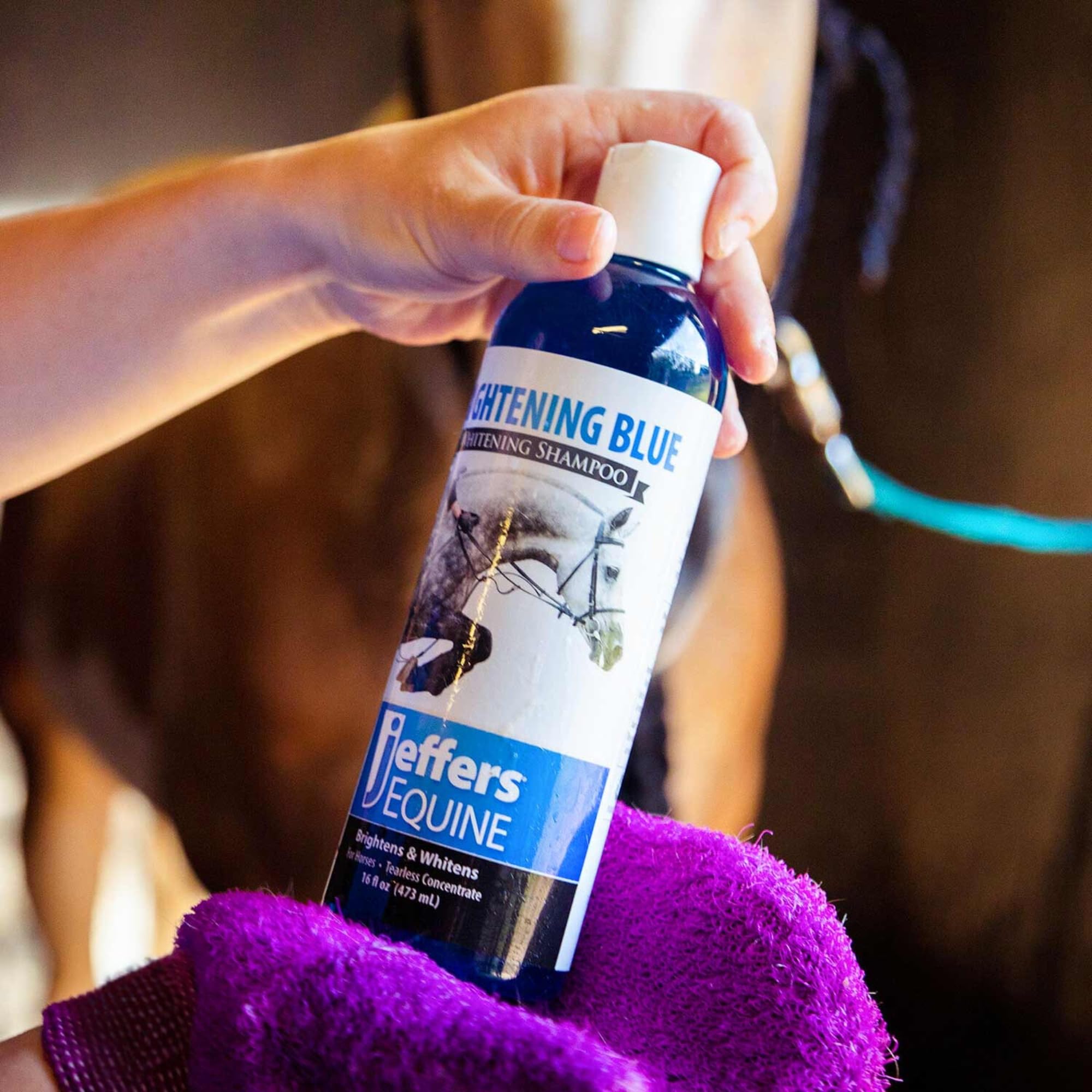 Jeffers Equine Brightening Blue Shampoo For Horses, 32 Oz - Enhanced Whitening & Stain Remover, Coconut Oil, Aloe, Gentle Groomi