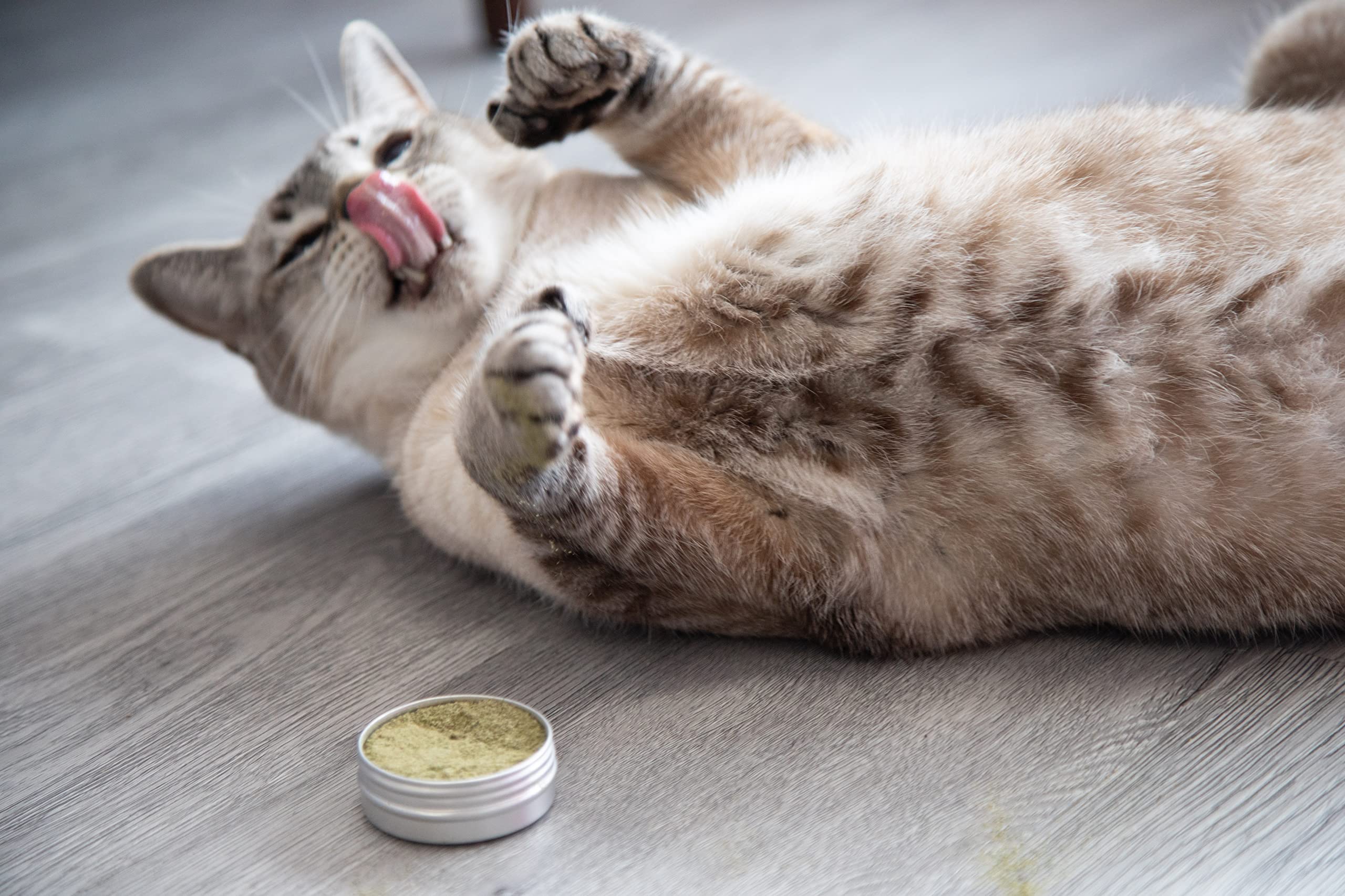 Meowy Janes All Natural Magic Cat Play Powder - Catnip And Silvervine Powder Blend - Cat Toy Dry Rub