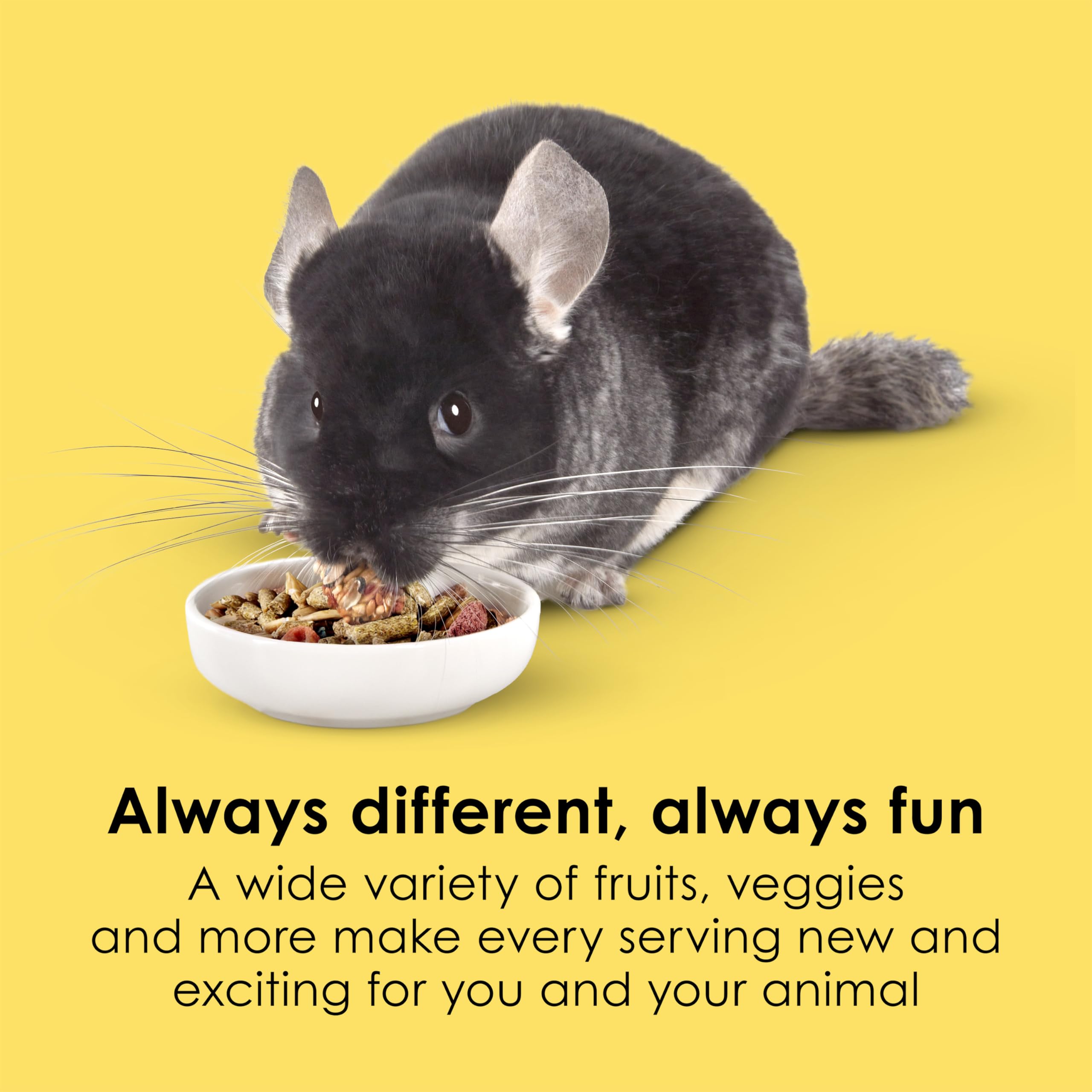 Kaytee Fiesta Pet Chinchilla Food, 2.5 Pound