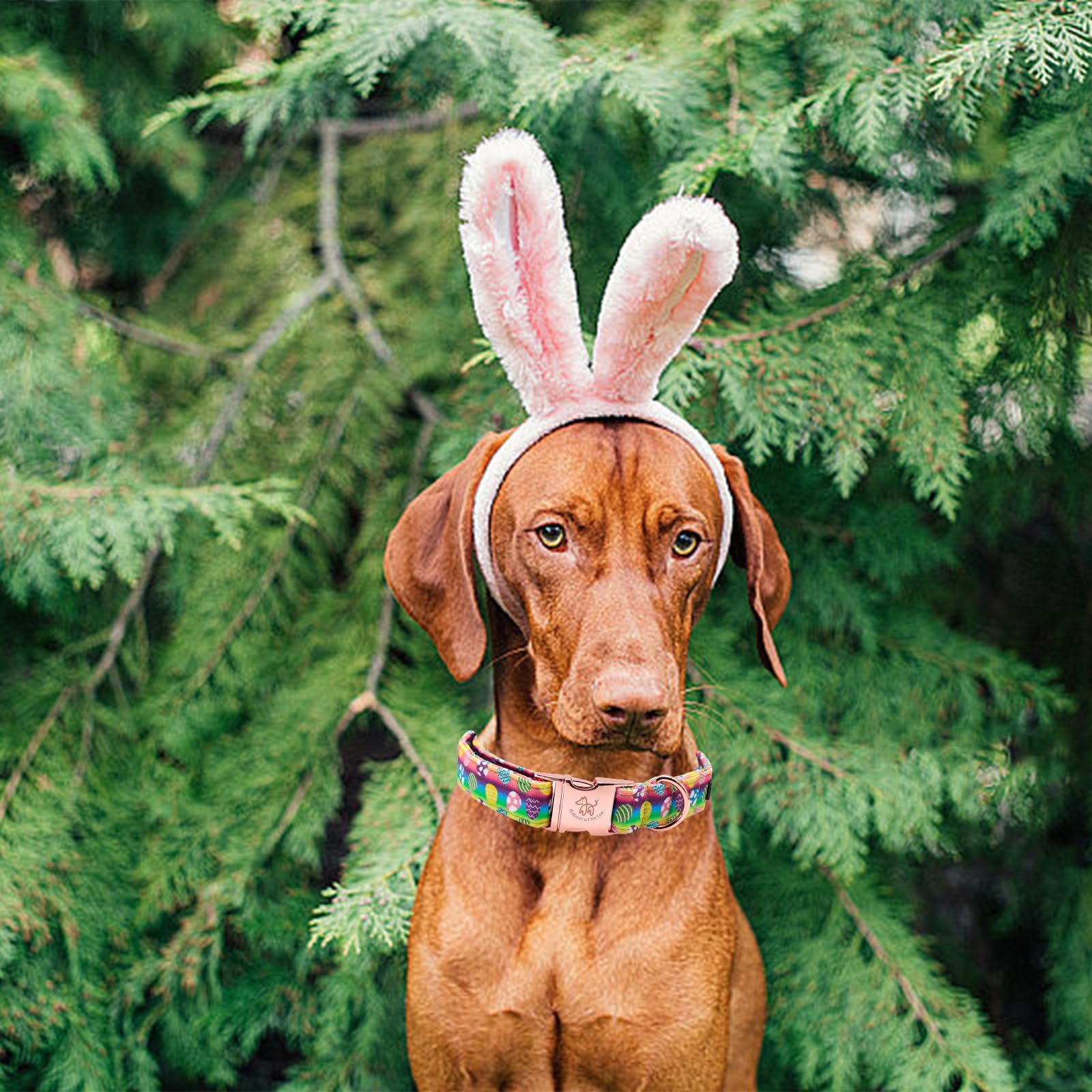 Elegant Little Tail Easter Dog Collar - Colorful Eggs Print, Adjustable for Medium Dogs