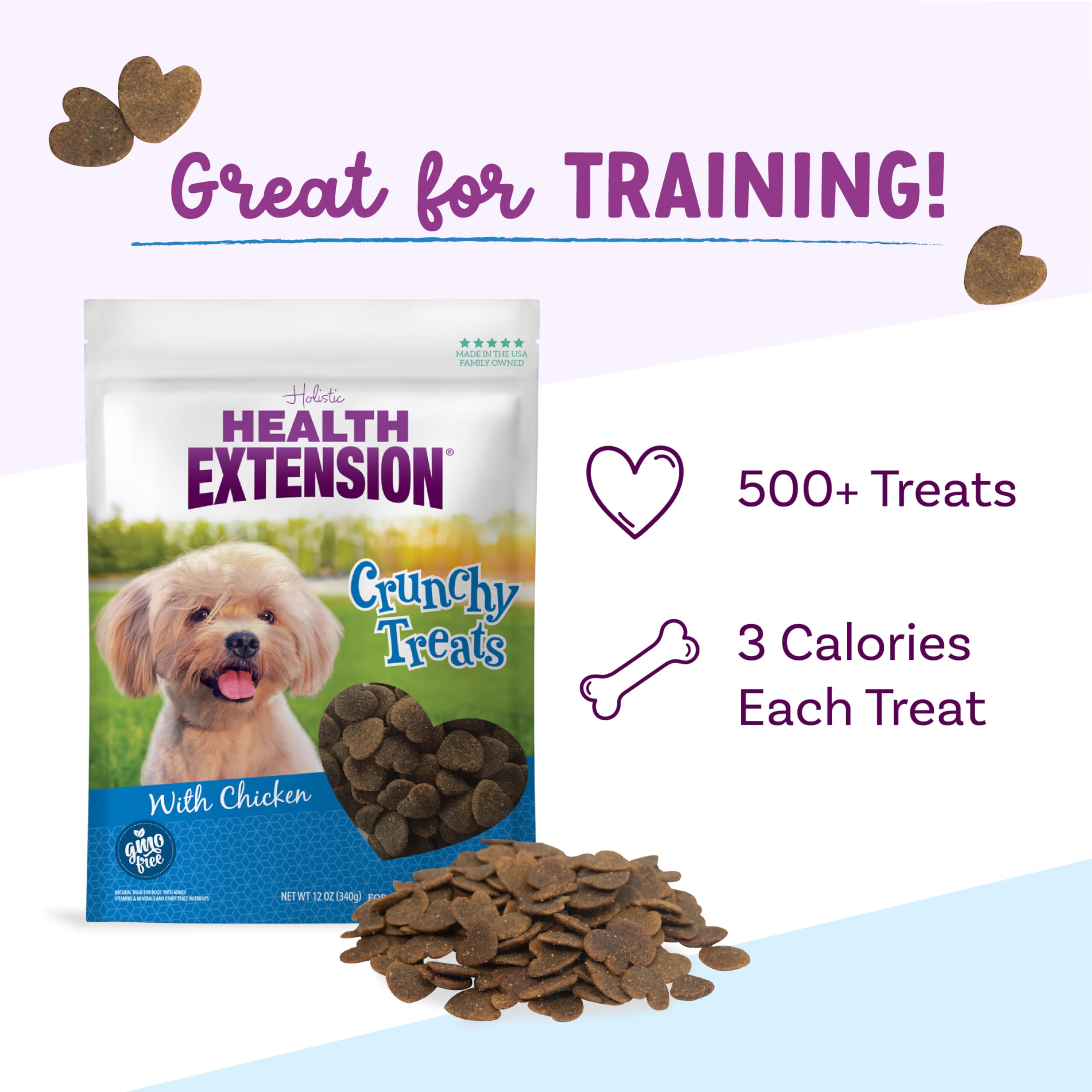 Health Extension Chicken Flavor Dog Training Treats, 12oz - GMO-Free Crunchy Biscuits for Small Breeds, Added Vitamins & Minerals