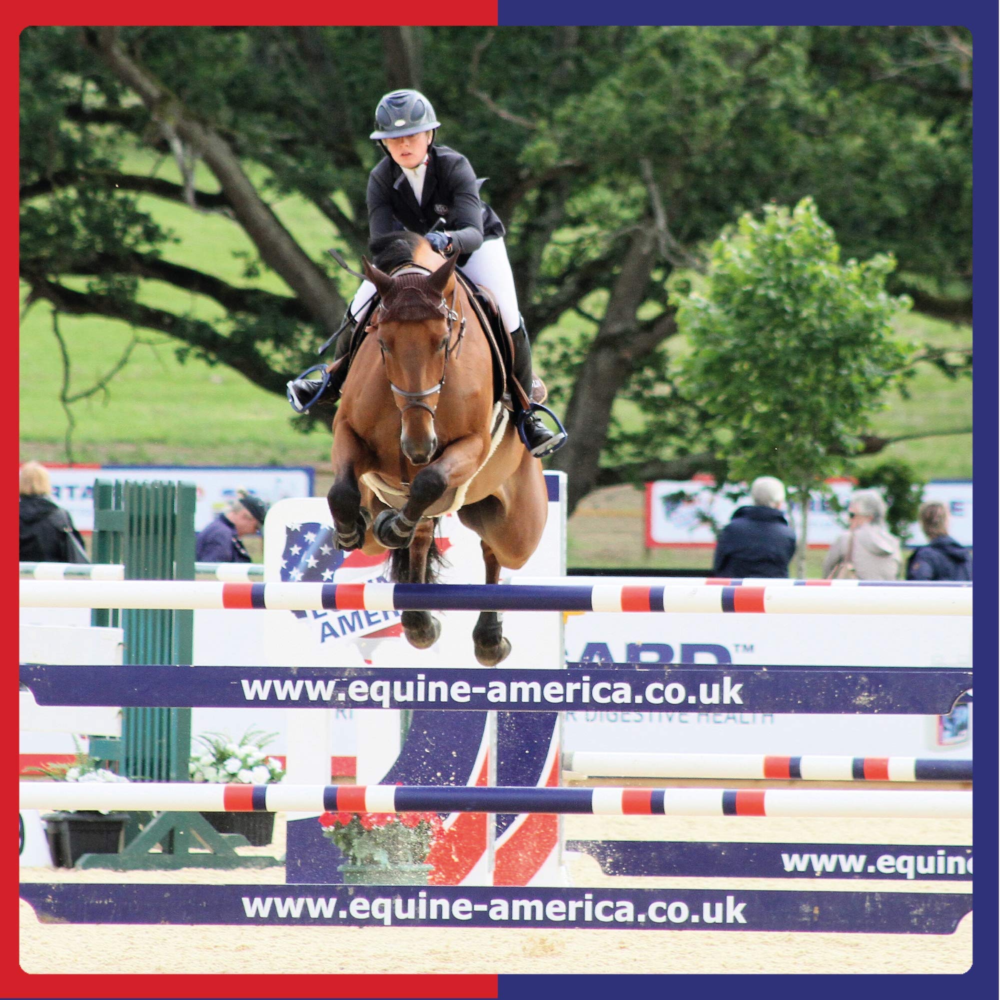 Veterinus Derma GeL PAW Care Pack with 5 x Mini Tubes 10mL - 0.34 fl.oz. - CAT Safe Non Toxic Contains: Freeze Dried Lavender ex