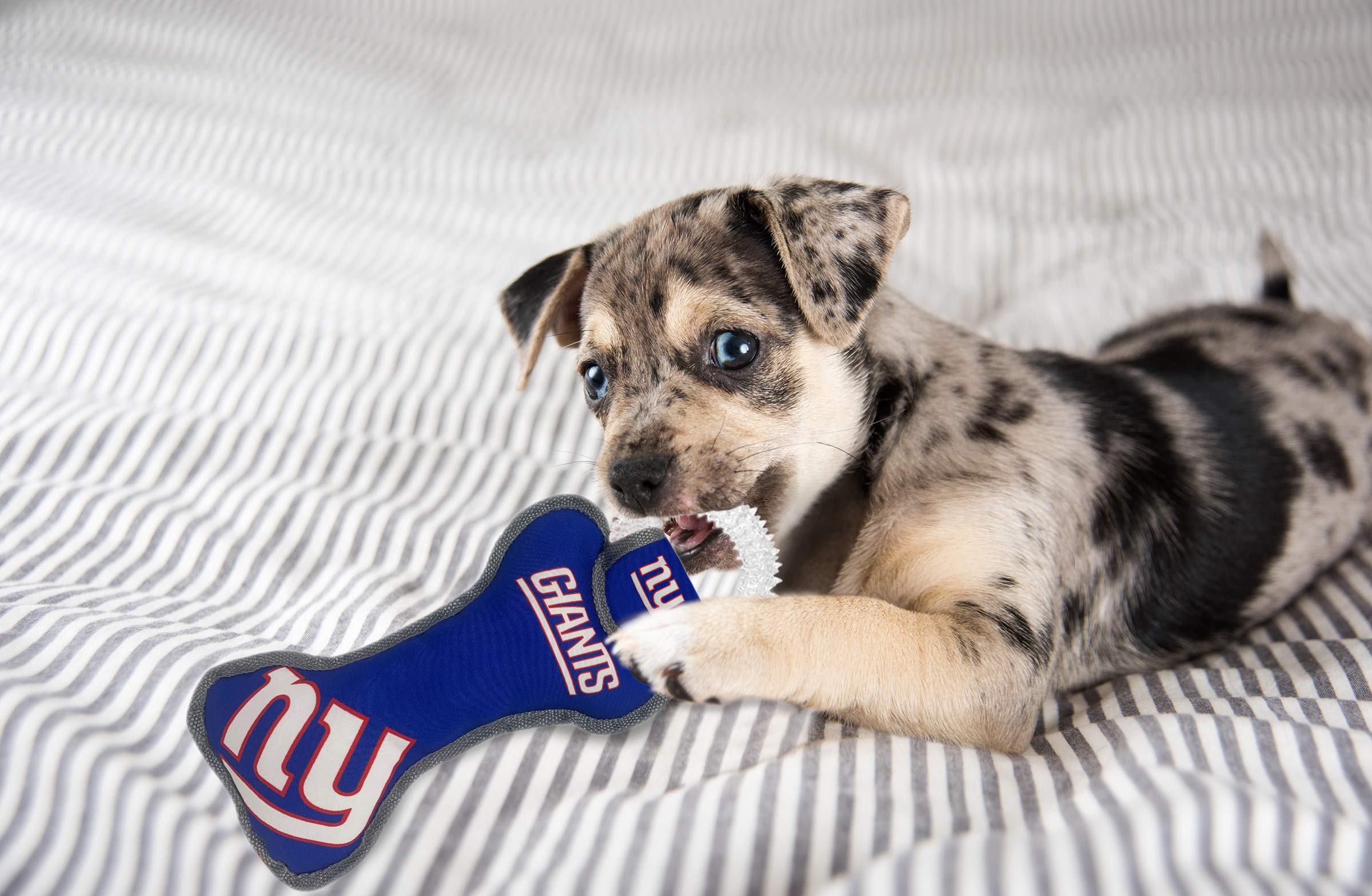 Pets First NFL New York Giants Dental Dog TUG Toy with Squeaker. Tough PET Toy for Healthy Fun, Teething & Cleaning Pet's Teeth