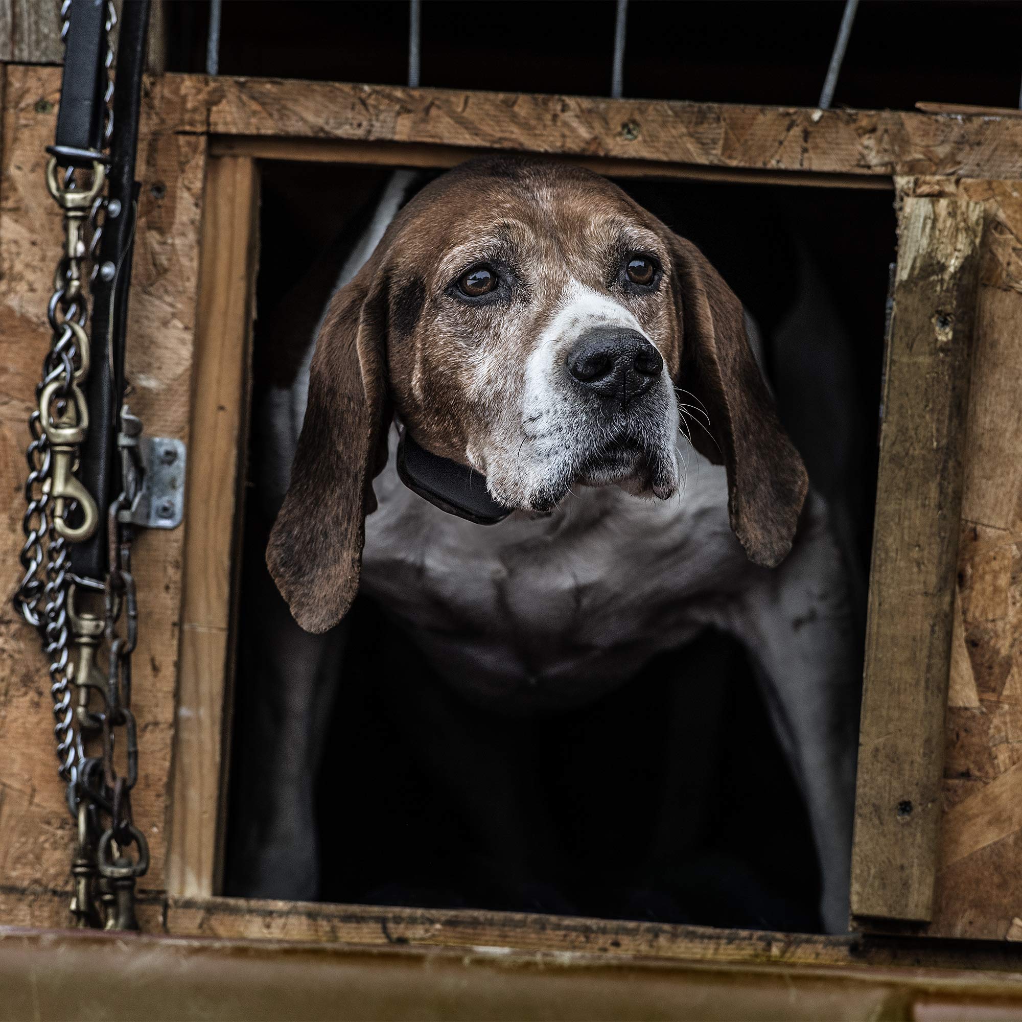 Sportdog Brand Nobark Sbc-R Rechargeable Bark Shock Collar For Dogs, No Barking Device For Dogs, Waterproof Bark Control Collar, Shock, Vibrate And Tone, Static Dog E-Collar (Black)