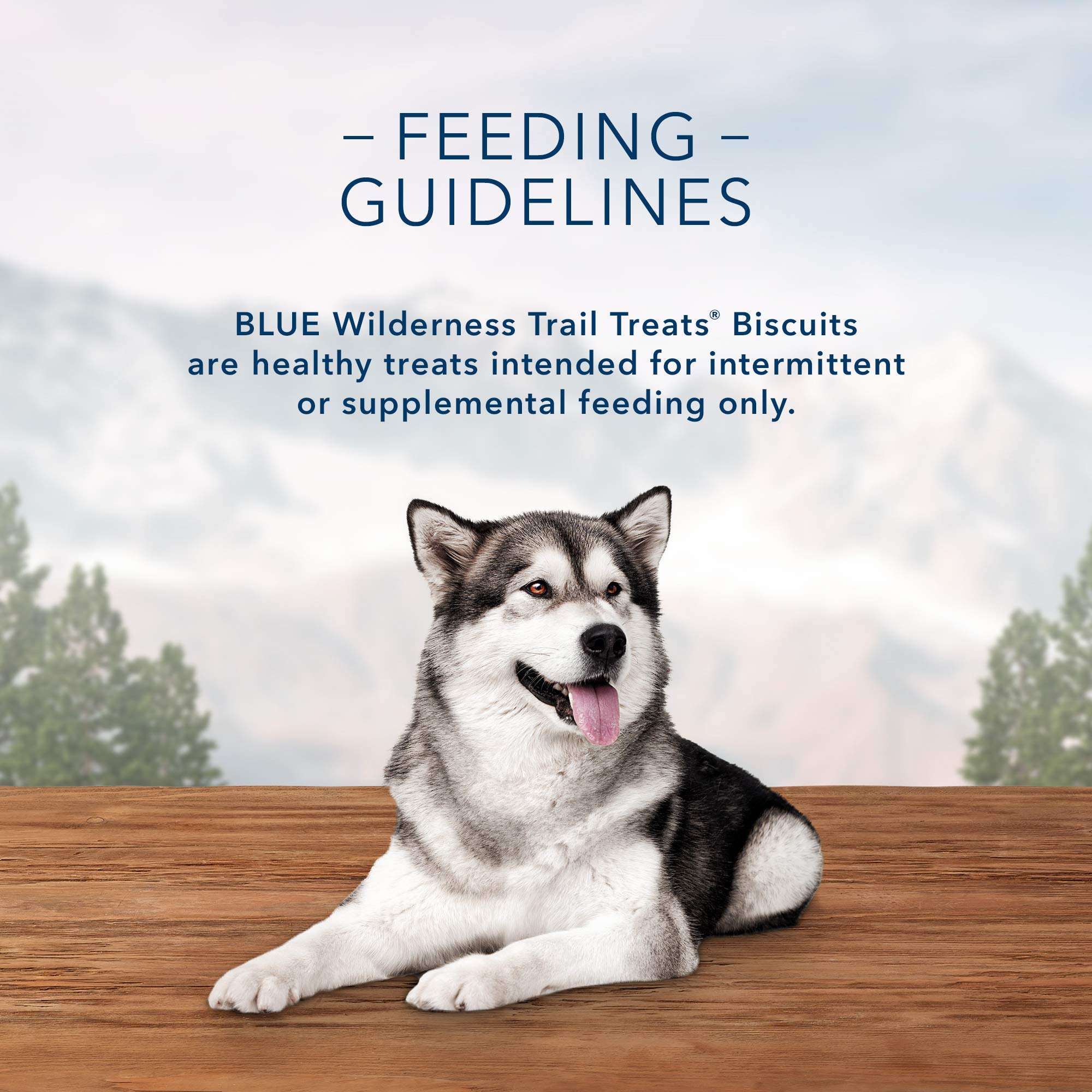 Blue Buffalo Wilderness Trail Treats High Protein Grain Free Dog Biscuits Crunchy Dog Treats, Duck Recipe, 24-oz Bag