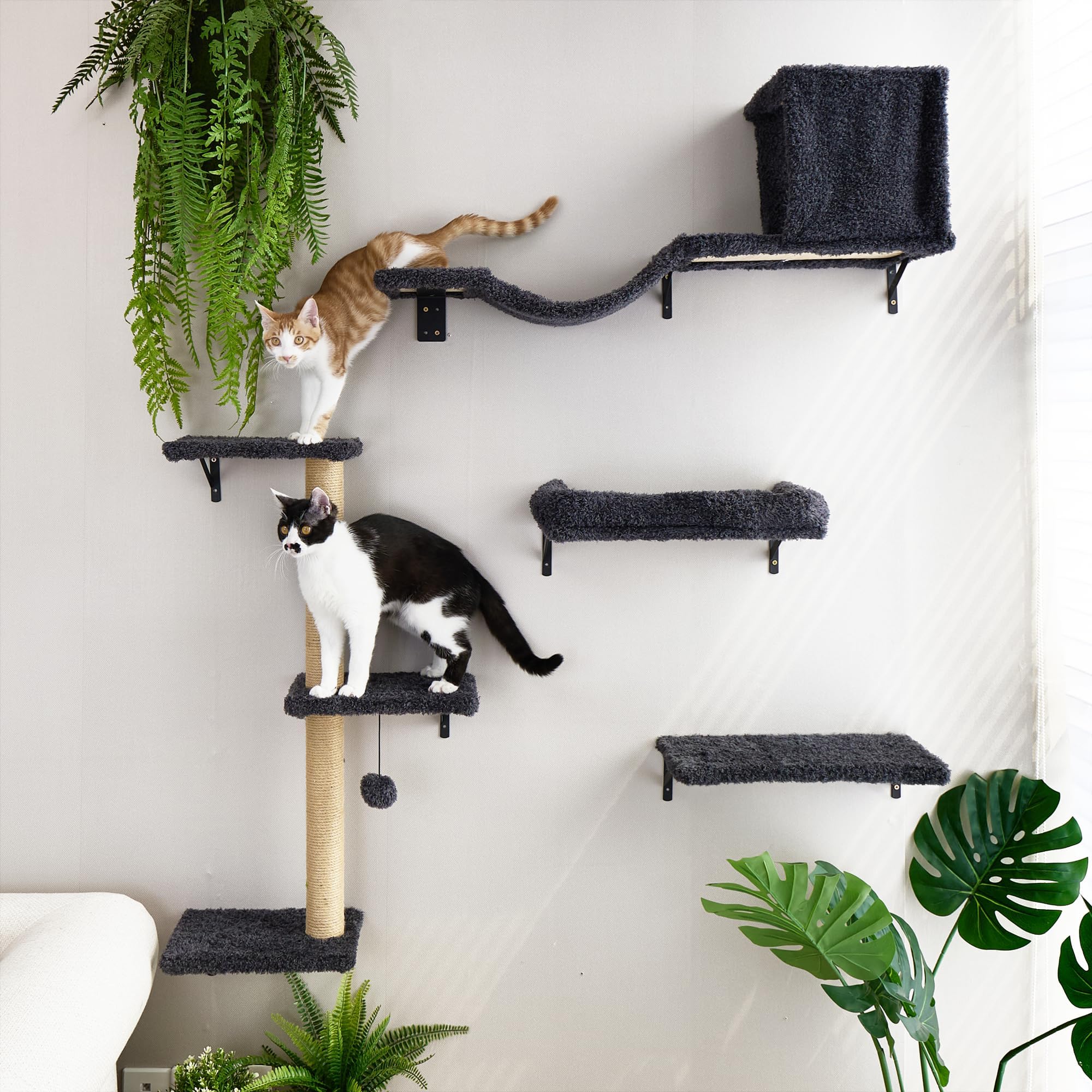 Fukumaru Cat Wall Shelves, Stable & Safe 4 In 1 Cat Furniture Set, Wooden Climbing Wall With Scratching Post For 16 Inch Drywall