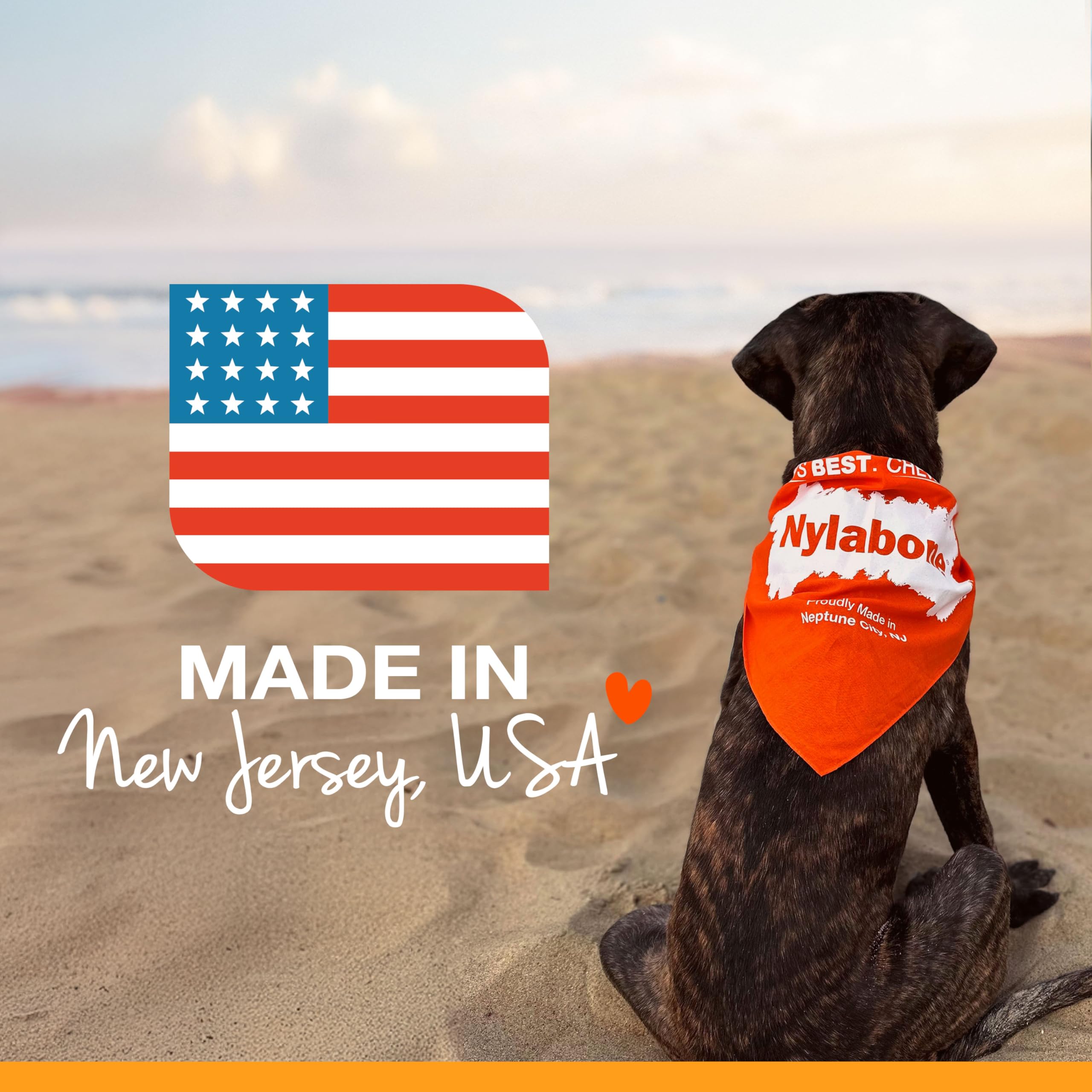 Nylabone Nubz Wild Natural Edible Chew Treats for Dogs, Made in USA, Bison Flavor, Large - Up to 50 lbs. (2 Count)