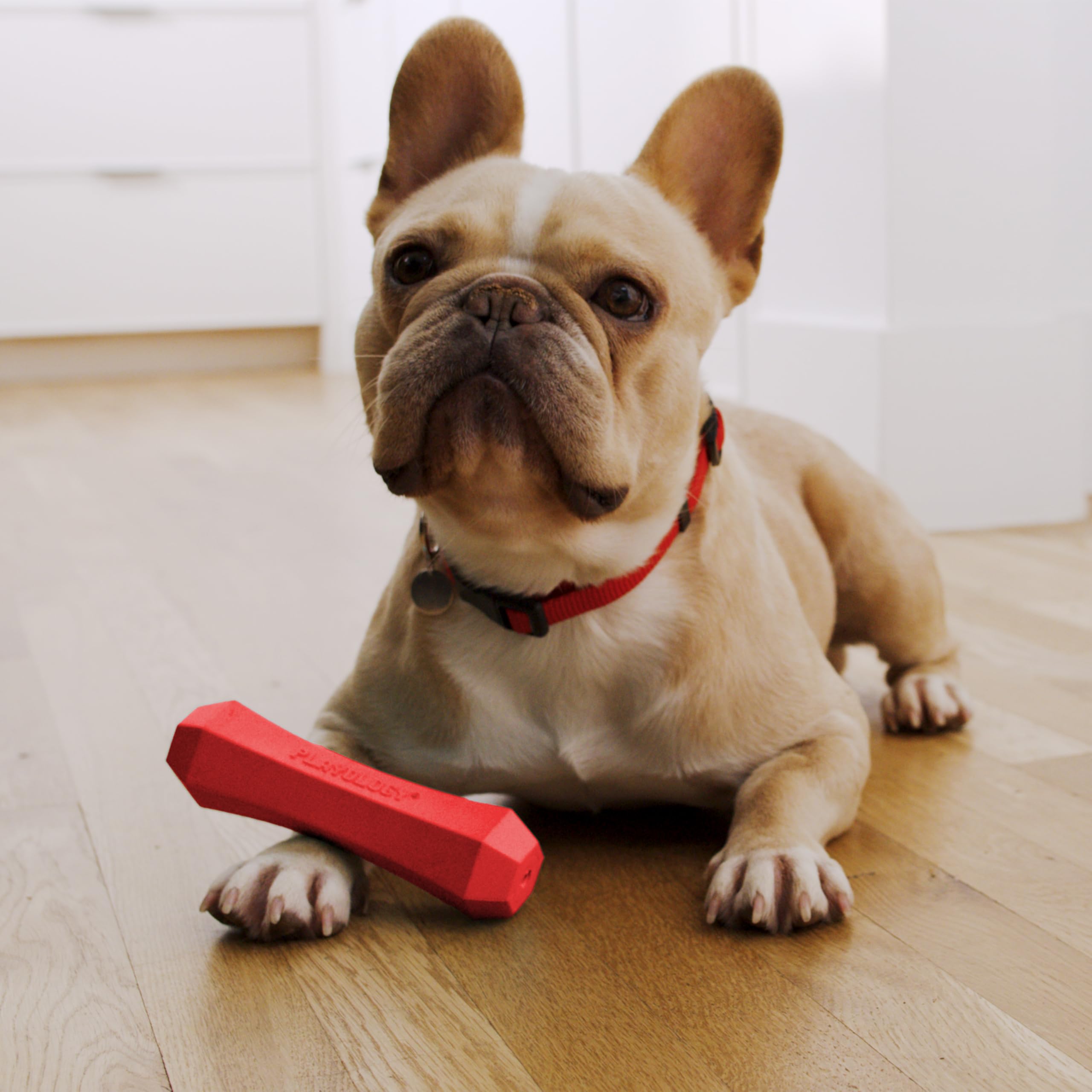 Playology Squeaky Chew Stick Dog Toy, For Medium To Large Dogs (15Lbs - 35Lbs) - For Moderate Chewers - Engaging All-Natural Beef Scented Toy - Non-Toxic Materials