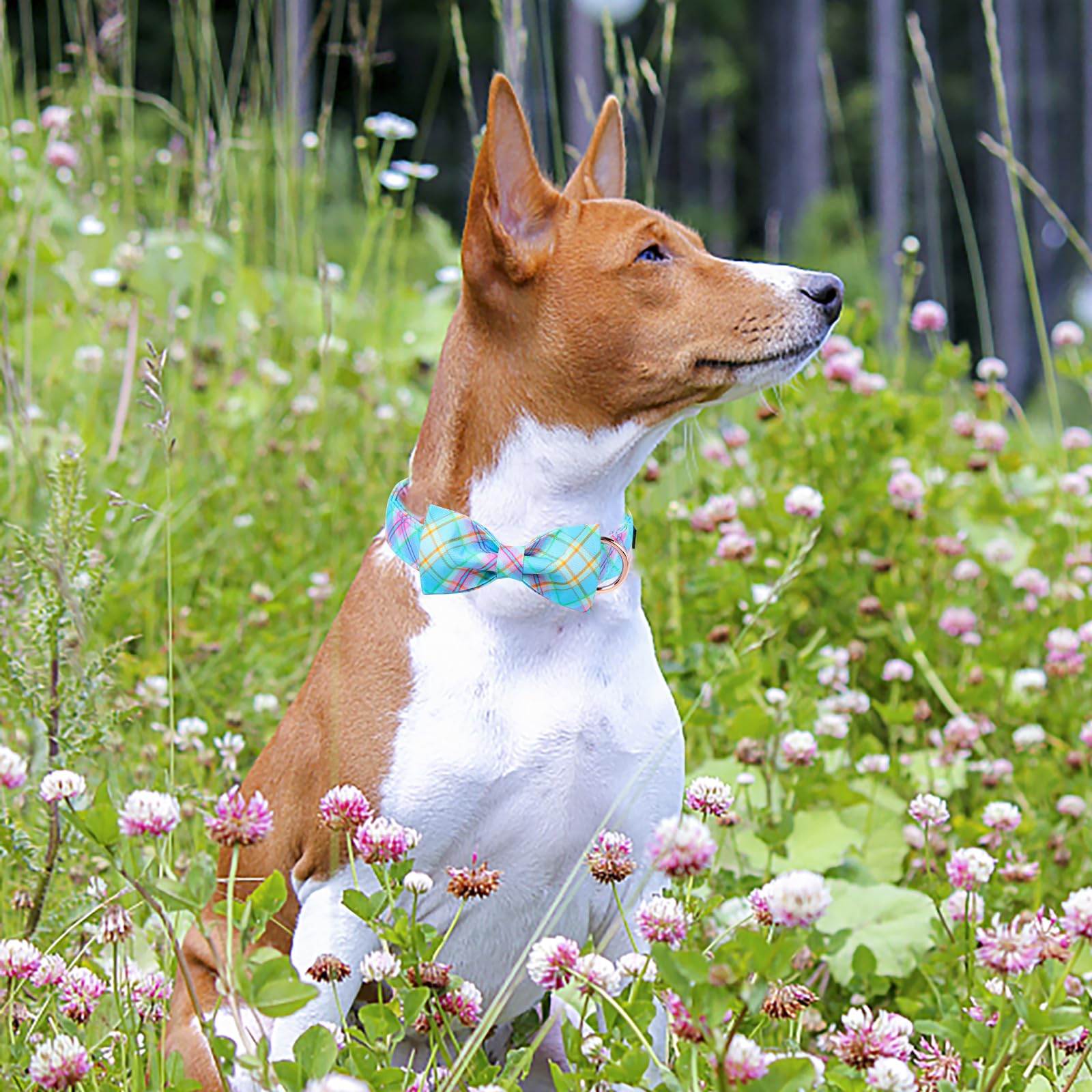 MR. CHUBBYFACE Easter Dog Collar with Bow, Cute Easter Stripe Chicken Rabbit Eggs Dog Collars, Spring Summer Pet Collar for Smal
