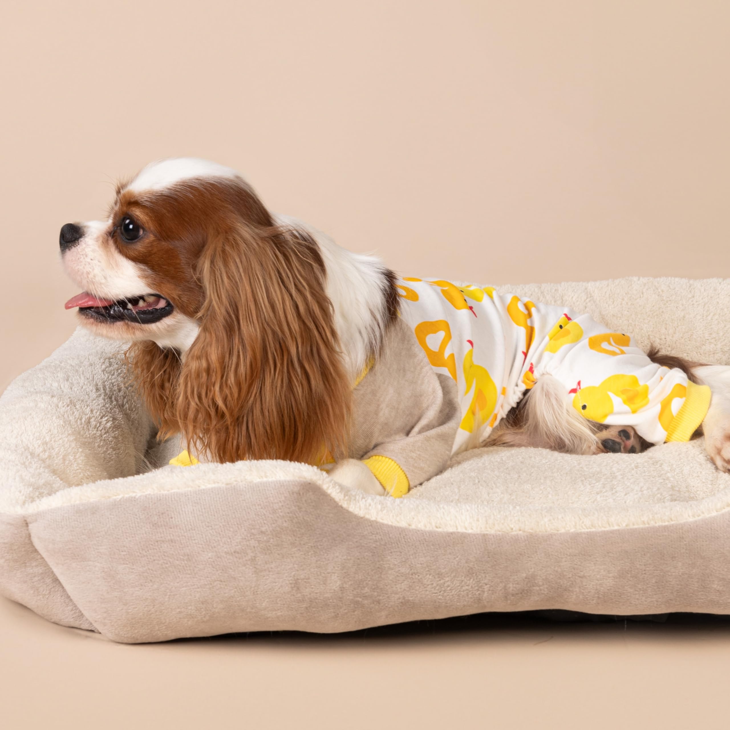 Fitwarm Duck Dog Pajamas, Cute Dog Clothes For Small Dogs Boy Girl, Pet Onesie Clothing, 100% Breathable Cotton, Yellow, Medium