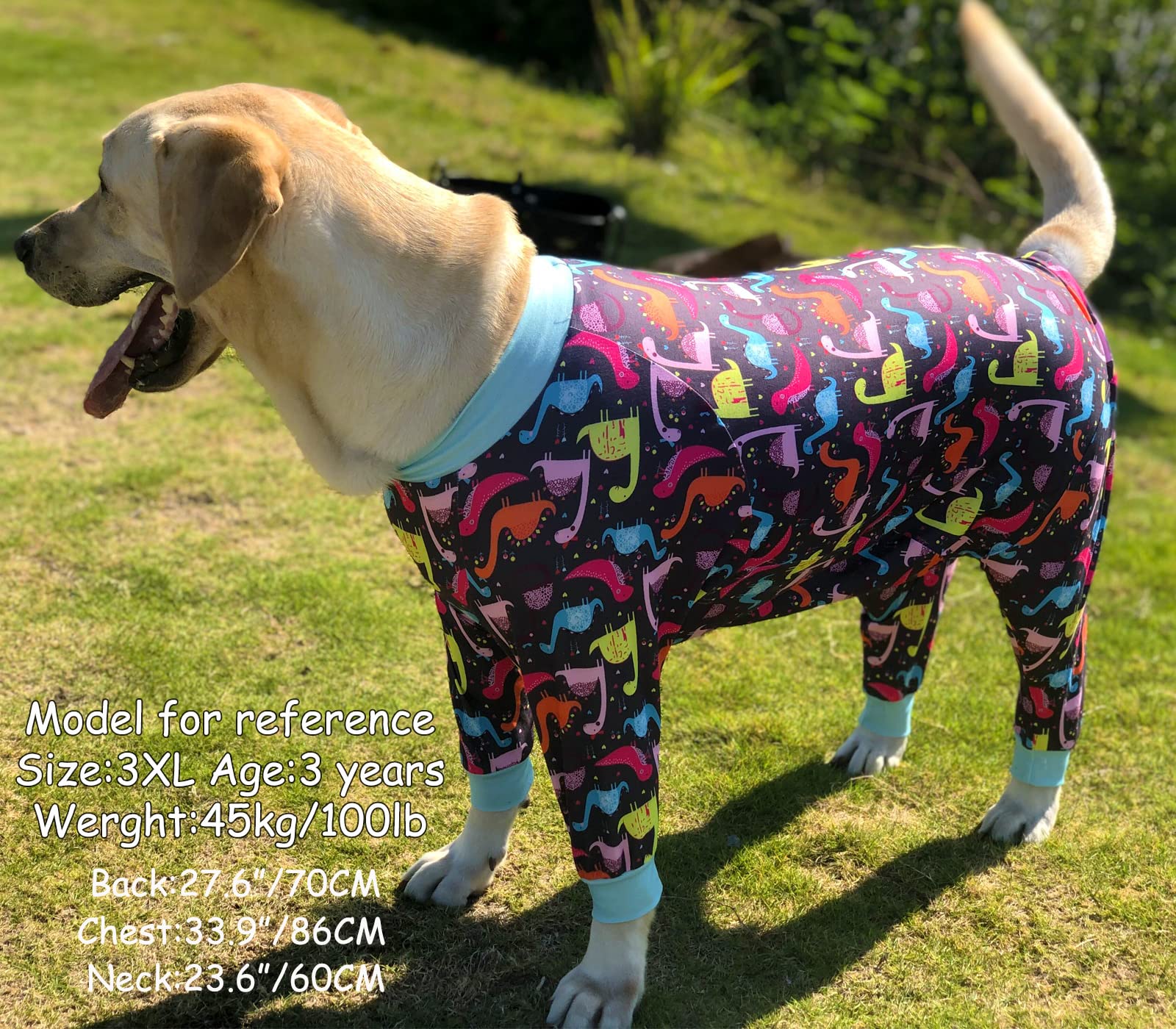 Pripre Dog Surgery Recovery Suit - Dinosaur Printed Long Sleeve Soft Pajamas Onesie Jumpsuit - Prevent Licking Shedding Suit For