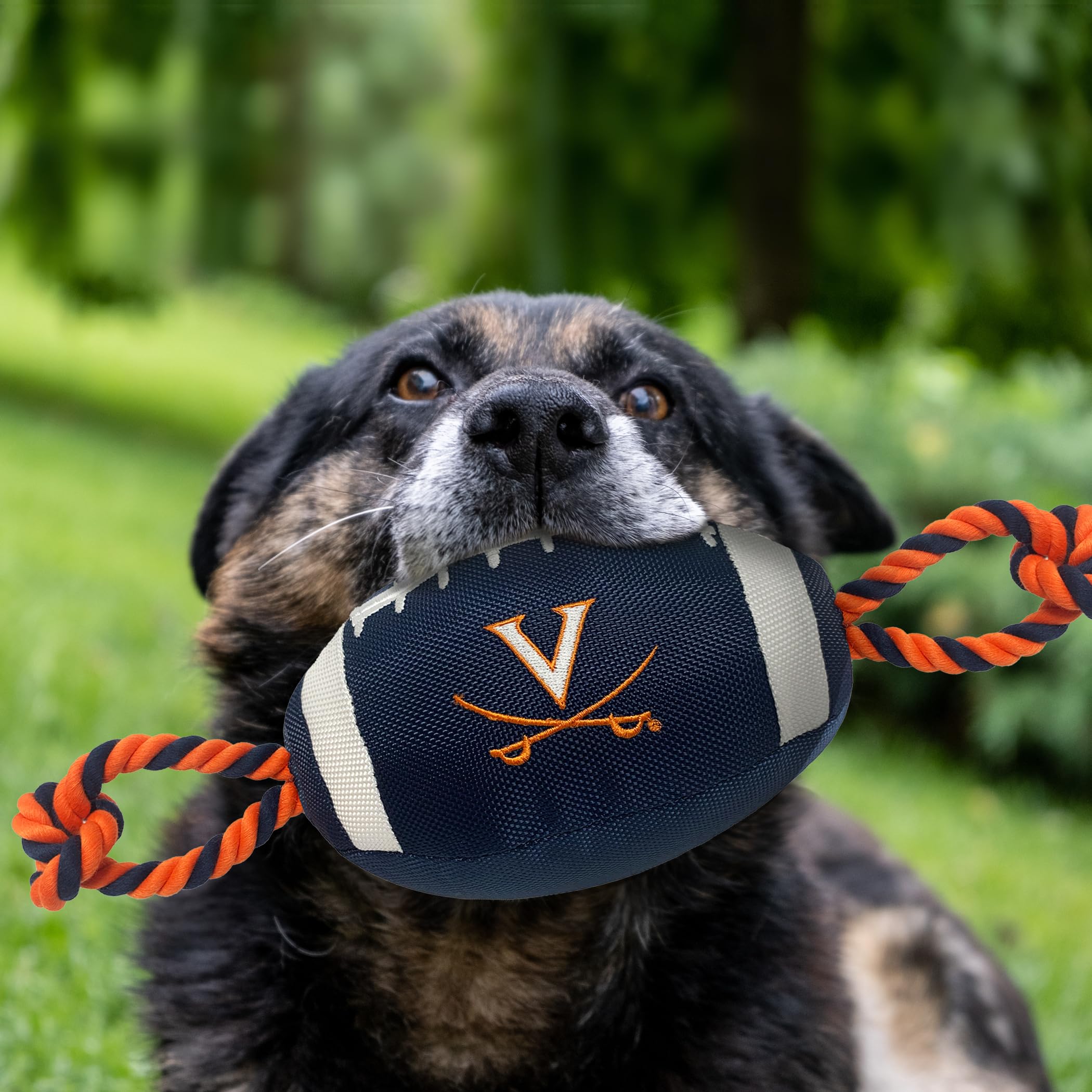 Pets First UVA-3121 Virginia Nylon Football