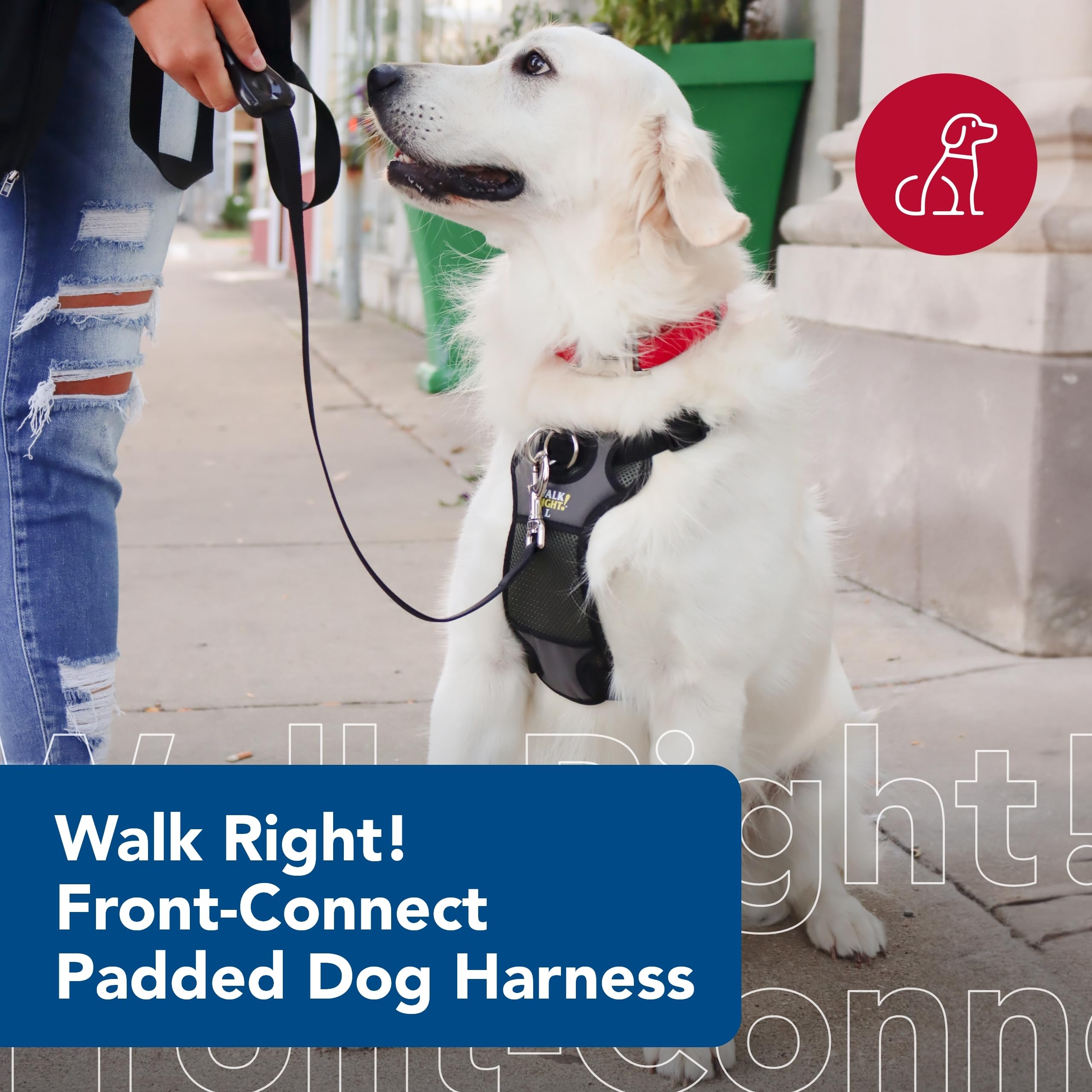 Coastal Pet Walk Right Front-Connect No-Pull Padded Dog Harness - Adjustable & Comfortable Dog Harness - Small & Large Breed Fit - Quality Pet Supplies - Red, Med (20'-30')