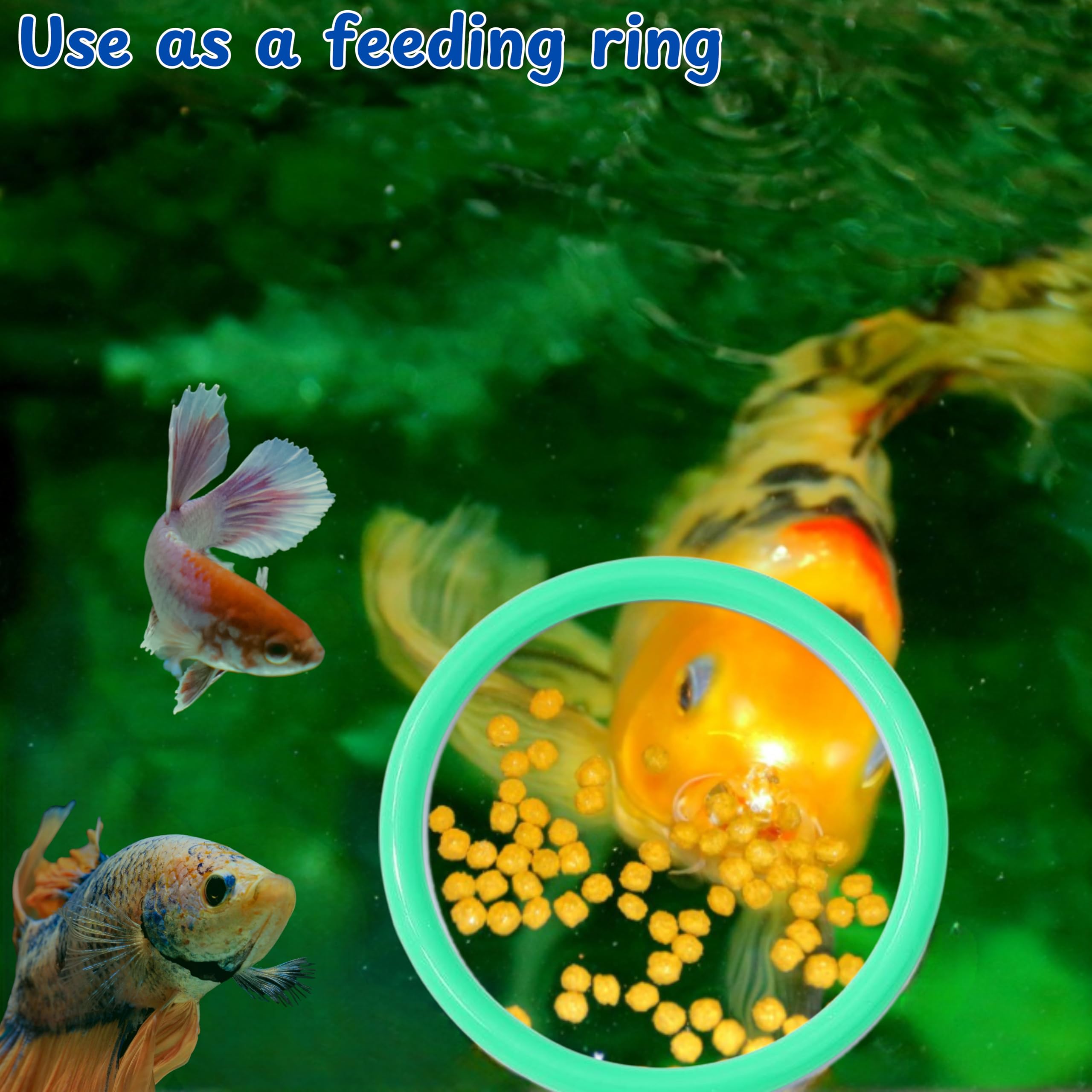 Betta Fish Exercise Ring And Filter Balls Set, Fish Feeder Ring And Nitrifying Ball, Betta Fish Toys For Small Tank, Betta Ring,