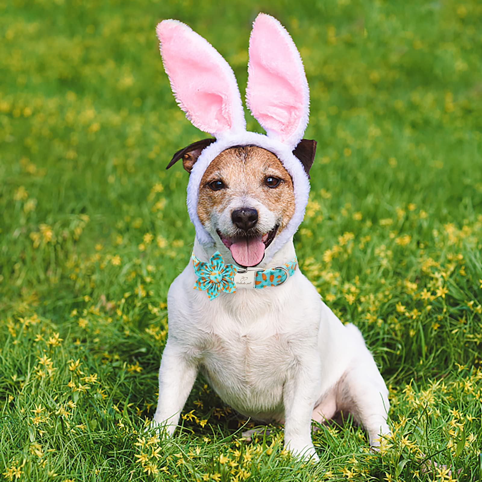Babole Pet Dog Collar Easter Gift With Flower Tie,Carrot Male Dog Collar With Safety Metal Buckle Adjustable Puppy Collars For Small Medium Large Boy & Girl Dog,Xs-Neck 8'-12'