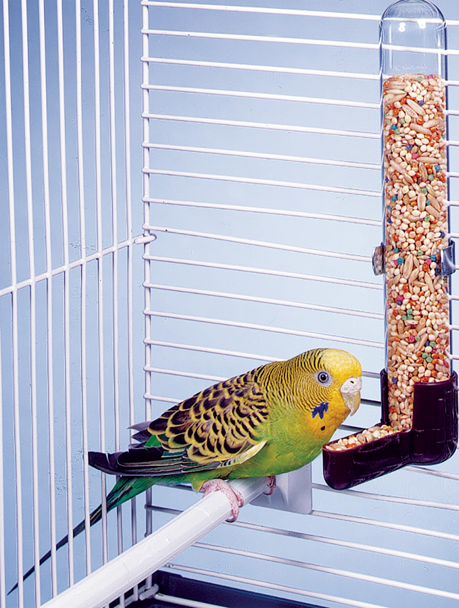 Penn-Plax BA336 Water Tube for Parakeets and Small Birds, 5.5'/1'