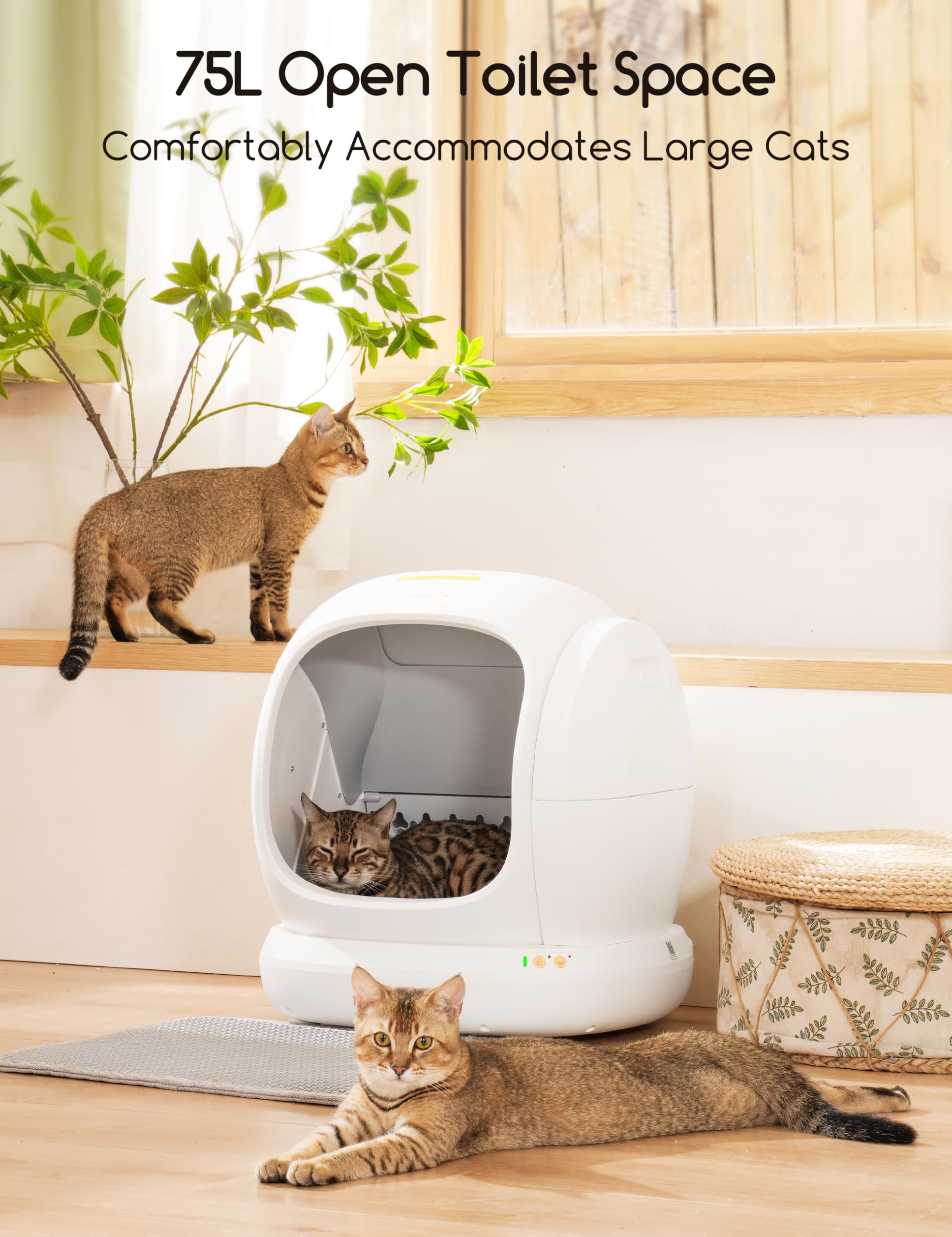 Meowant Self-Cleaning Cat Litter Box, 75L Extra Large Open Automatic Cat Litter Box For Multi Cats, Integrated Safety Protection