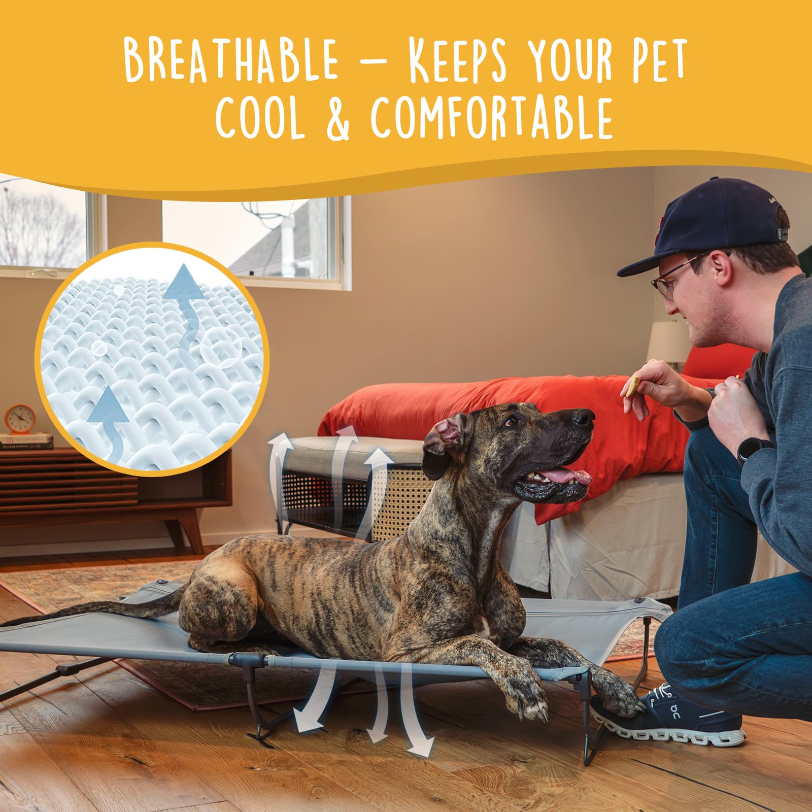 Canine Canyon Daisy Cot, Xl Foldable Elevated Dog Bed, Portable Raised Outdoor Folding Dog Cots, Cooling, Chew Proof, Waterproof