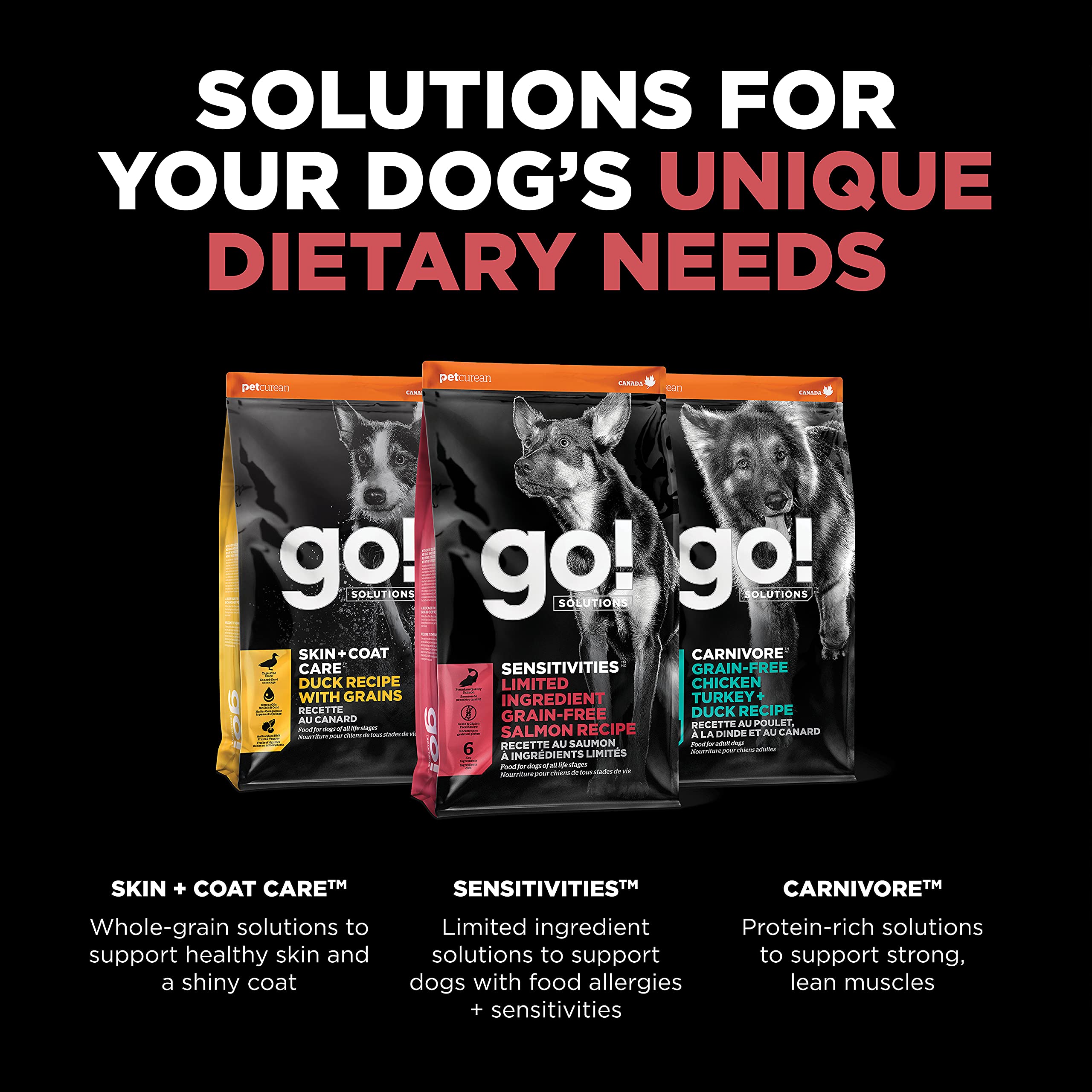 Go! Solutions Sensitivities Limited Ingredient, Grain-Free Dry Dog Food, Salmon Recipe for Sensitive Stomach, 3.5 lb Bag
