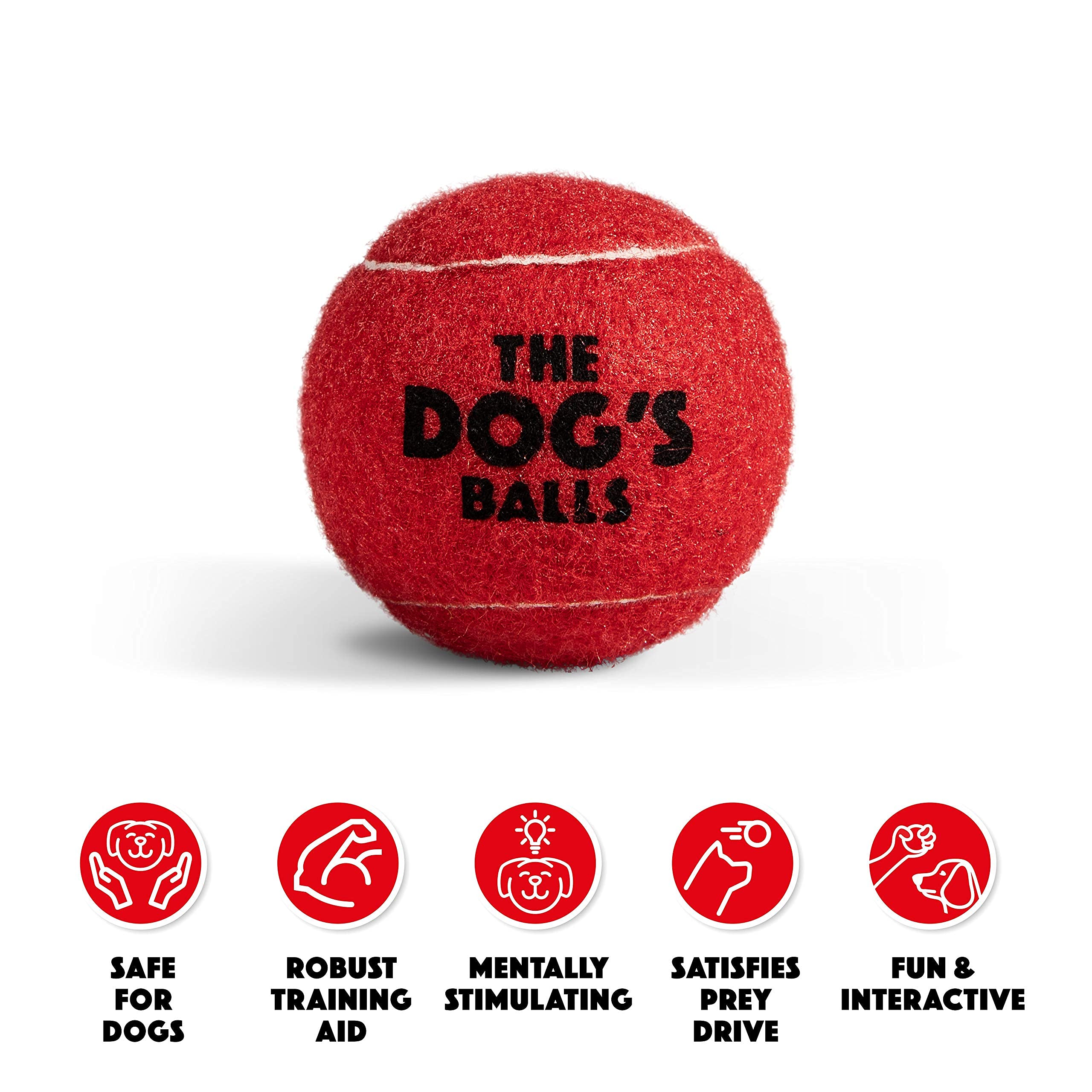 The Dog's Balls, Dog Tennis Balls, 12-Pack Red, 2.5 Inches Diameter Dog Toy, Strong Dog & Puppy Ball for Training, Play, Exercis